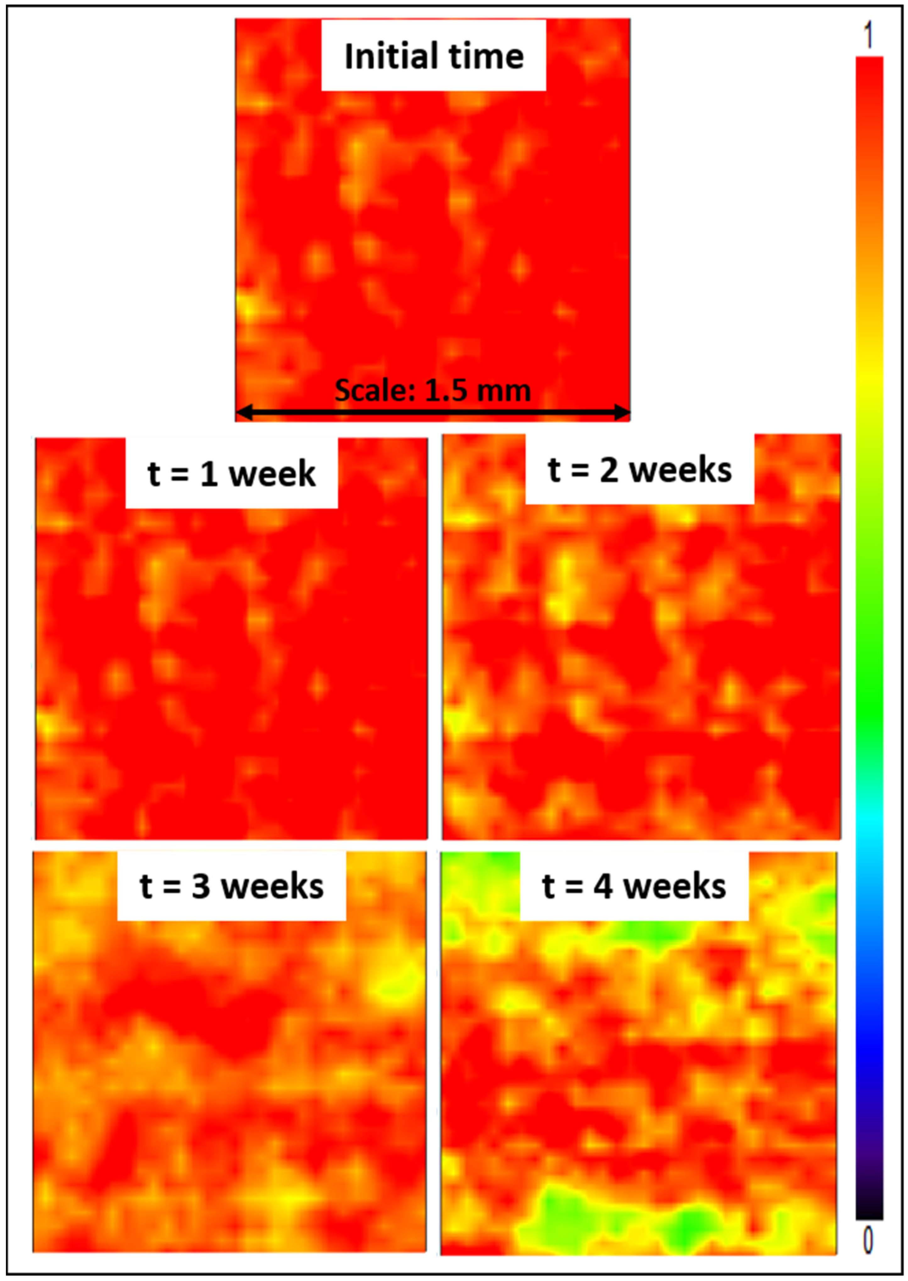 Membranes 12 00069 g013