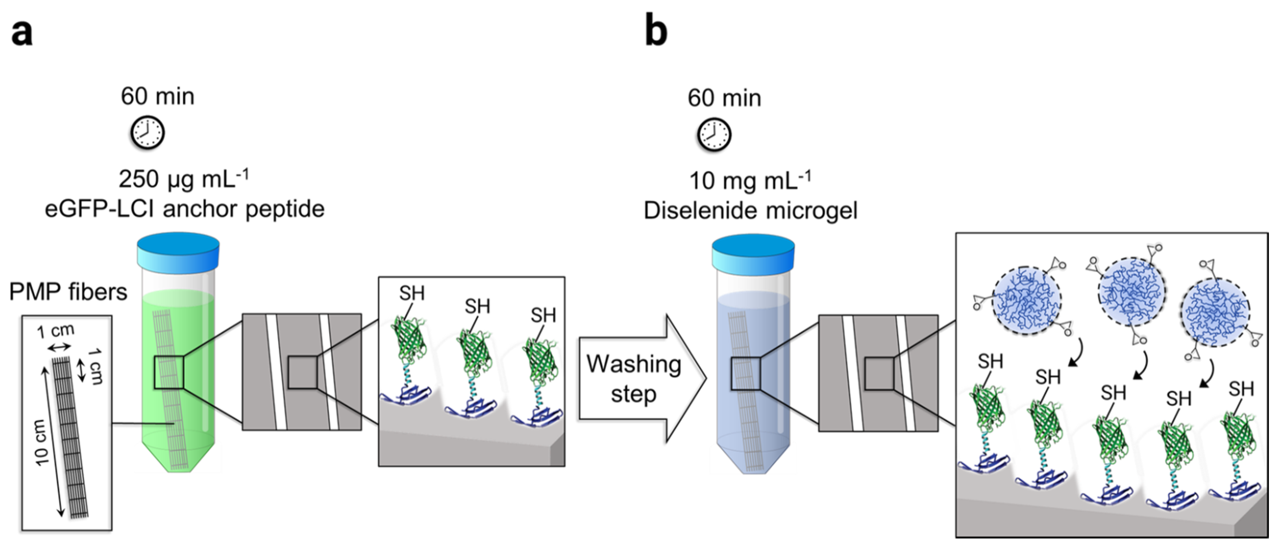 Membranes 12 00073 sch002
