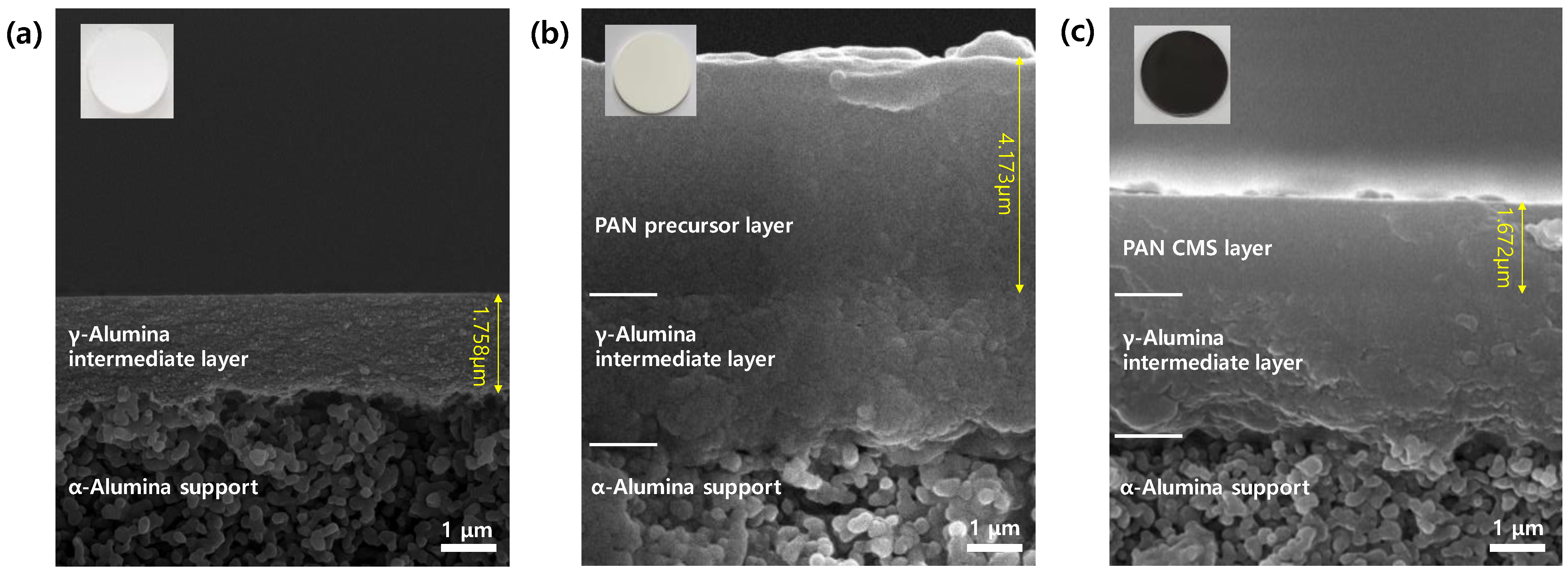 Membranes 12 00093 g003