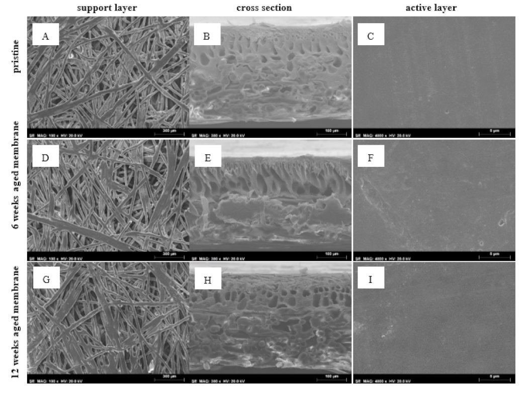 Membranes 12 00098 g004