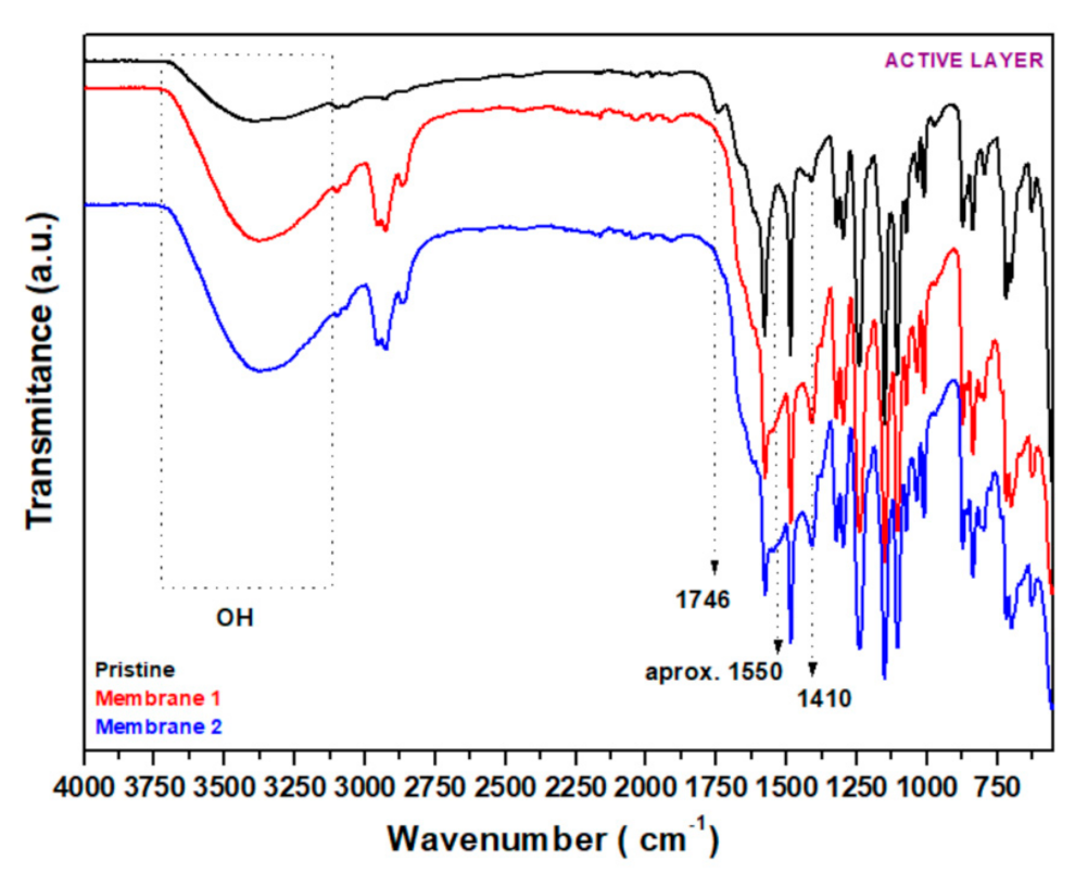 Membranes 12 00098 g005