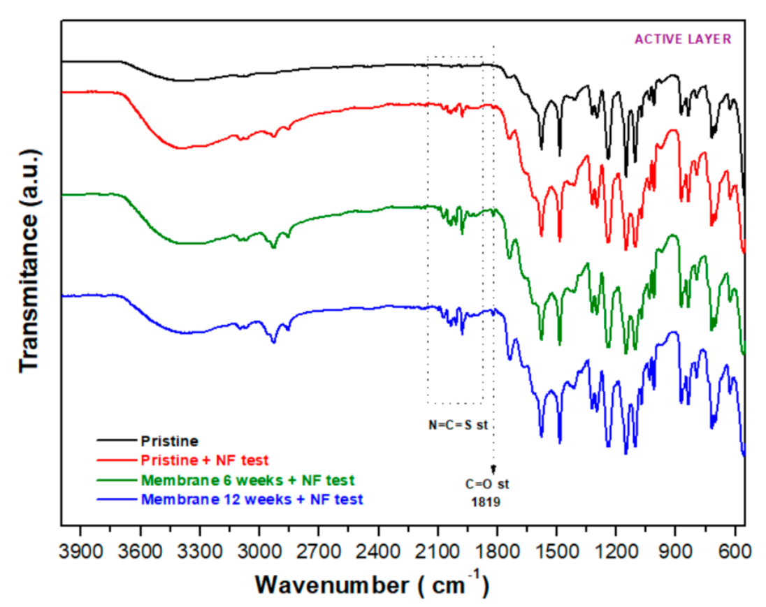 Membranes 12 00098 g006