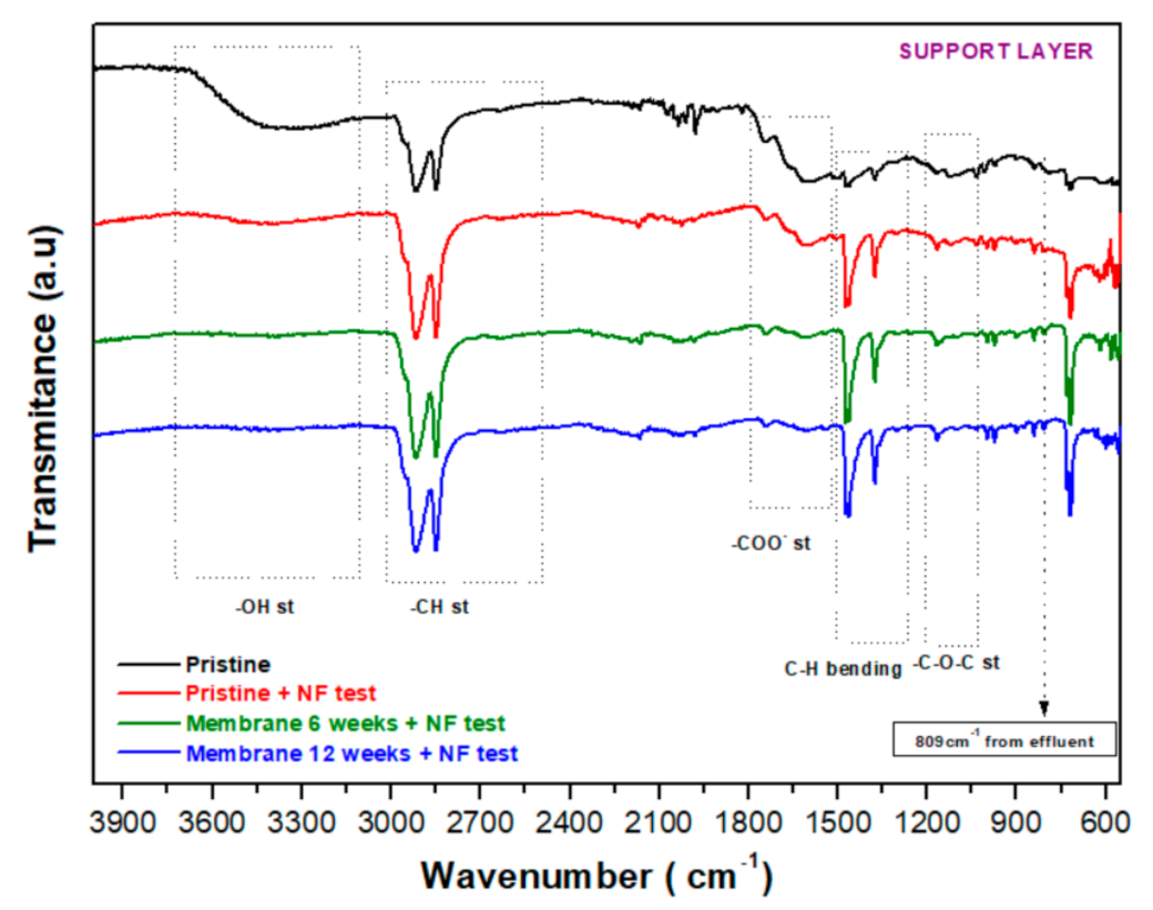 Membranes 12 00098 g007