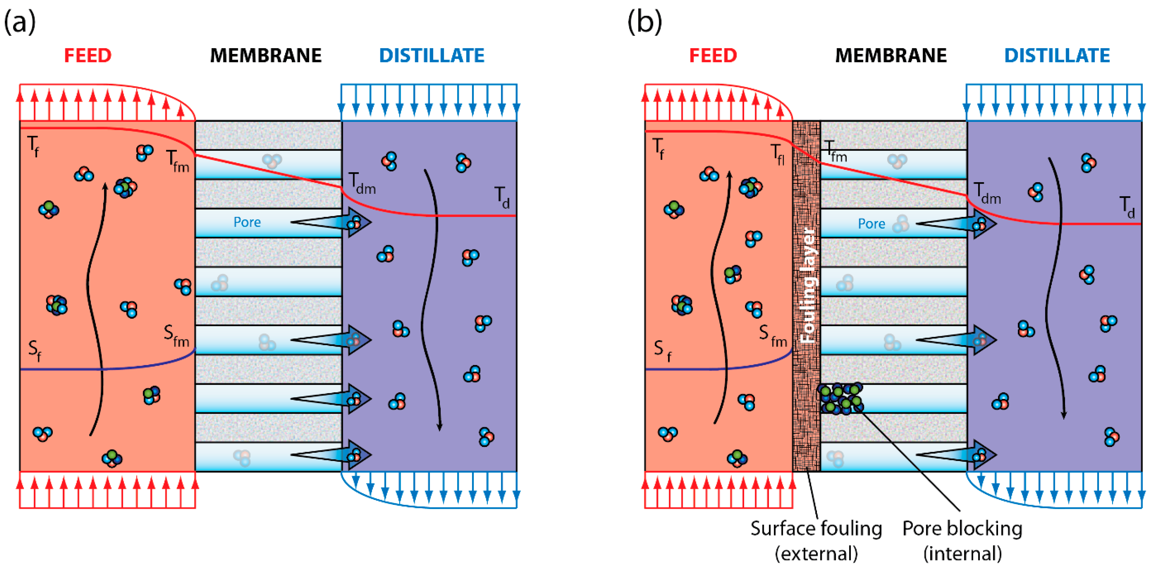 Membranes 12 00157 g001