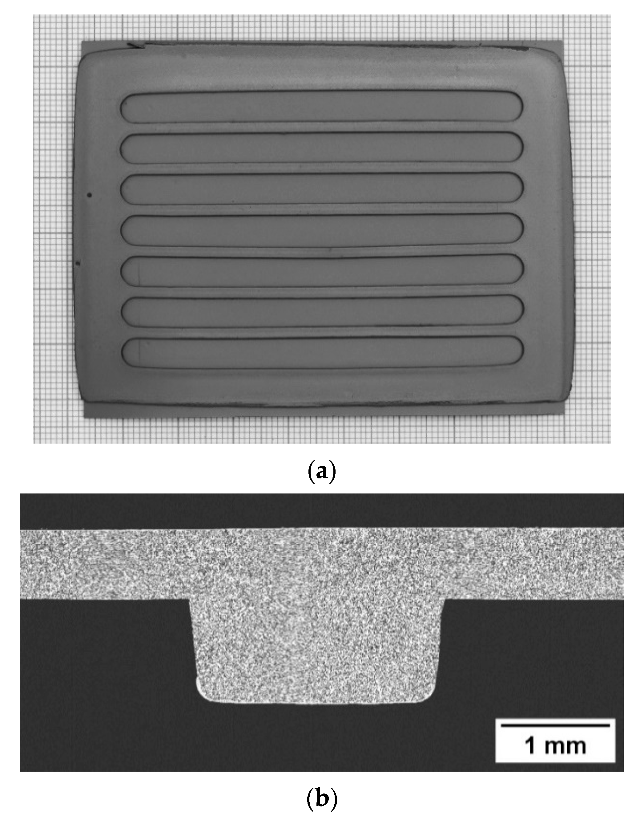 Membranes 12 00167 g005