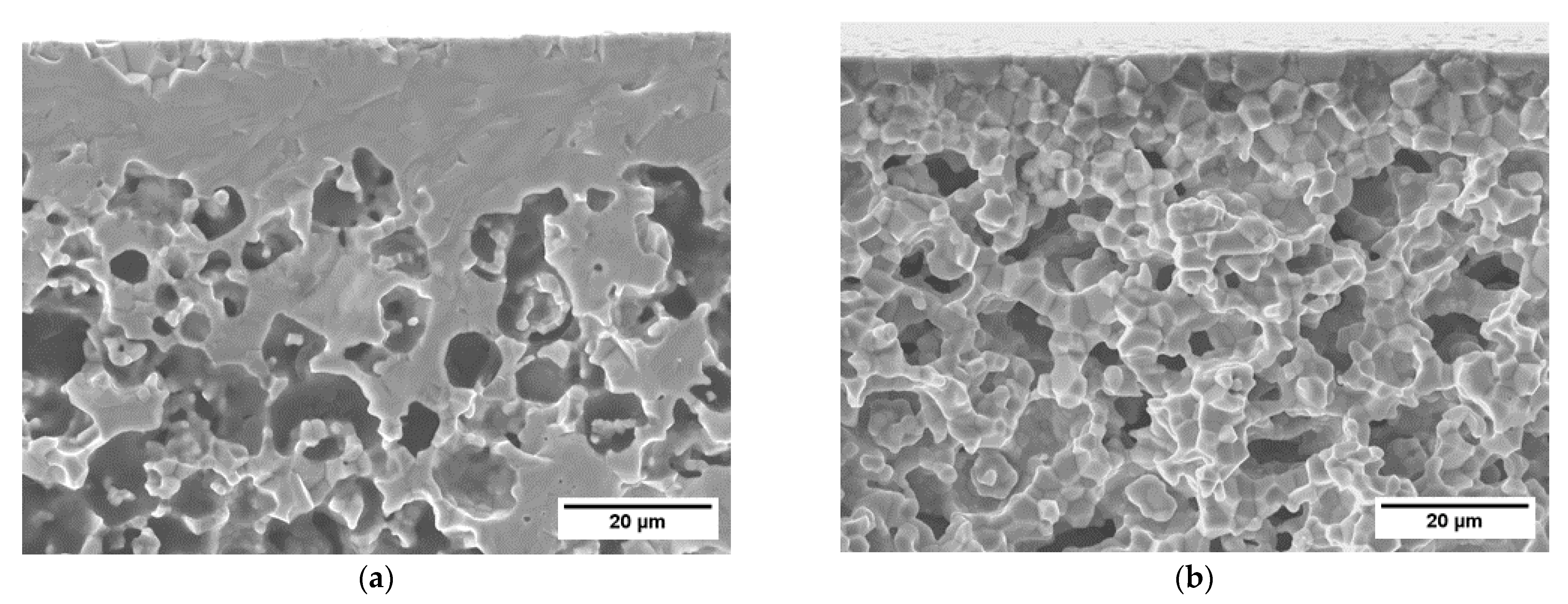 Membranes 12 00167 g013