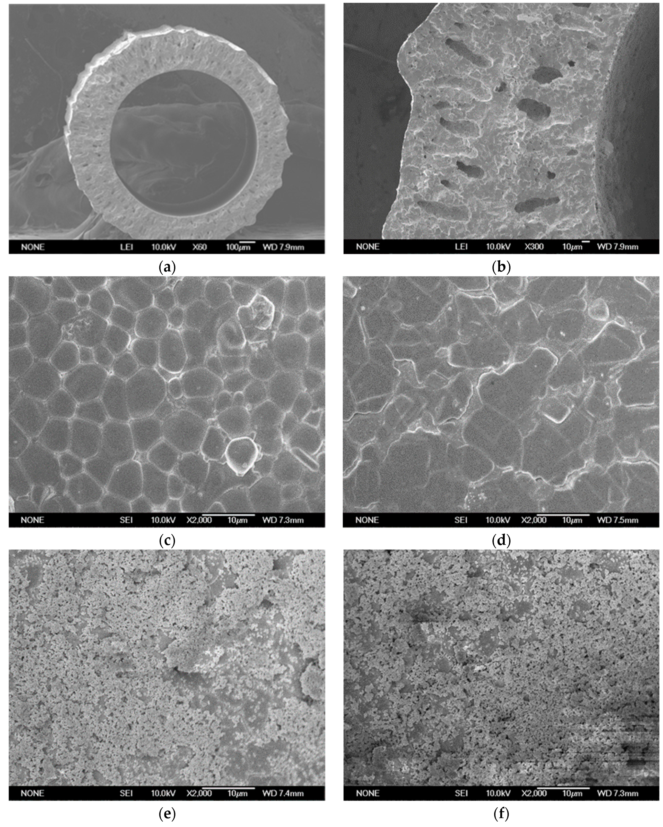 Membranes 12 00191 g004