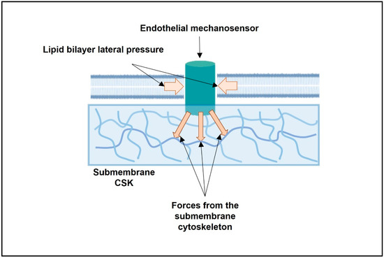Interplay of cholesterol, membrane bilayers and the AT1R: A