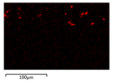 Membranes 12 00208 i004 Membranes 12 00208 i004
