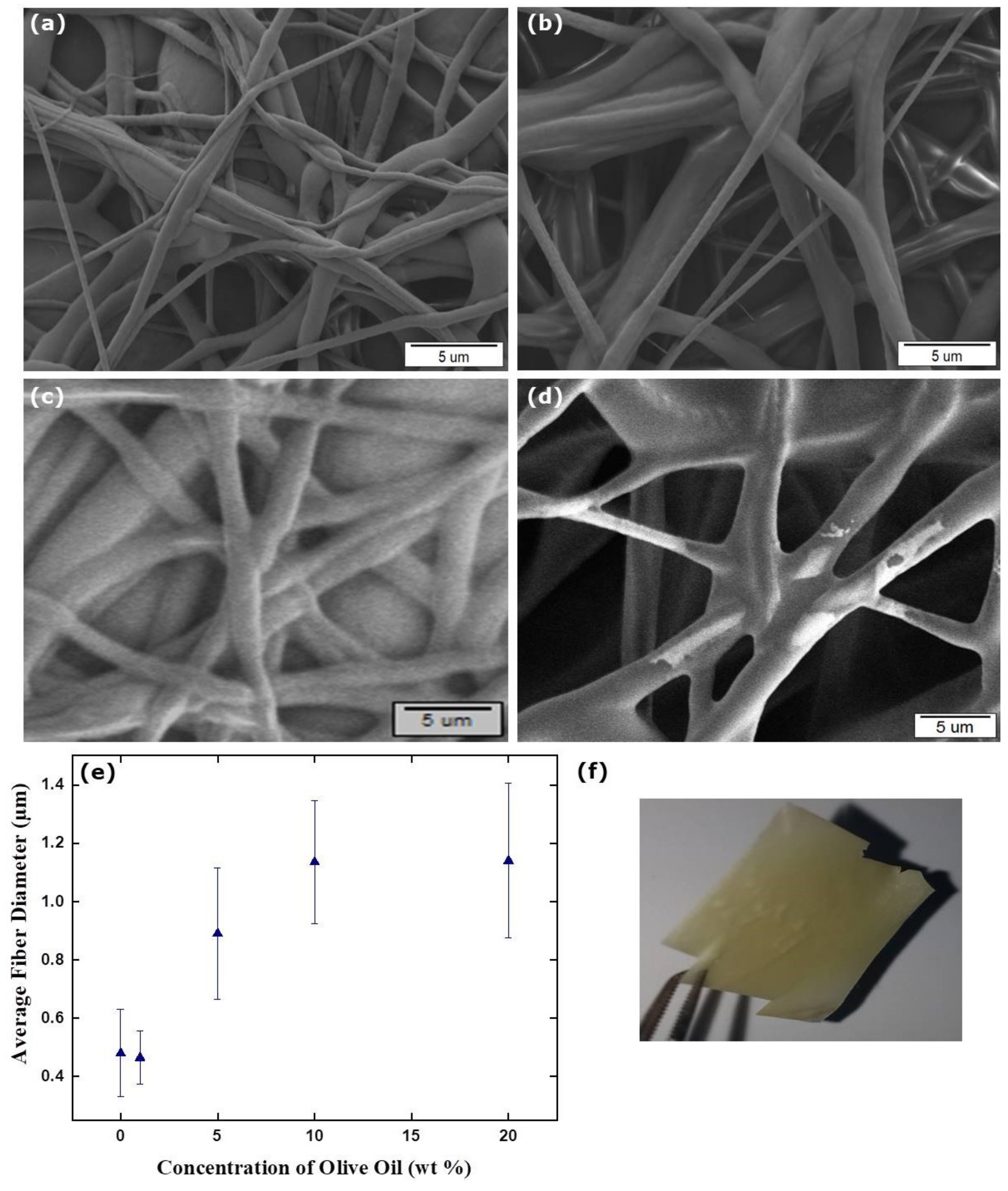 Membranes 12 00209 g005