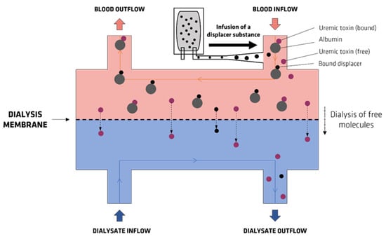 Membranes Free Full Text Interaction of Human Serum Albumin