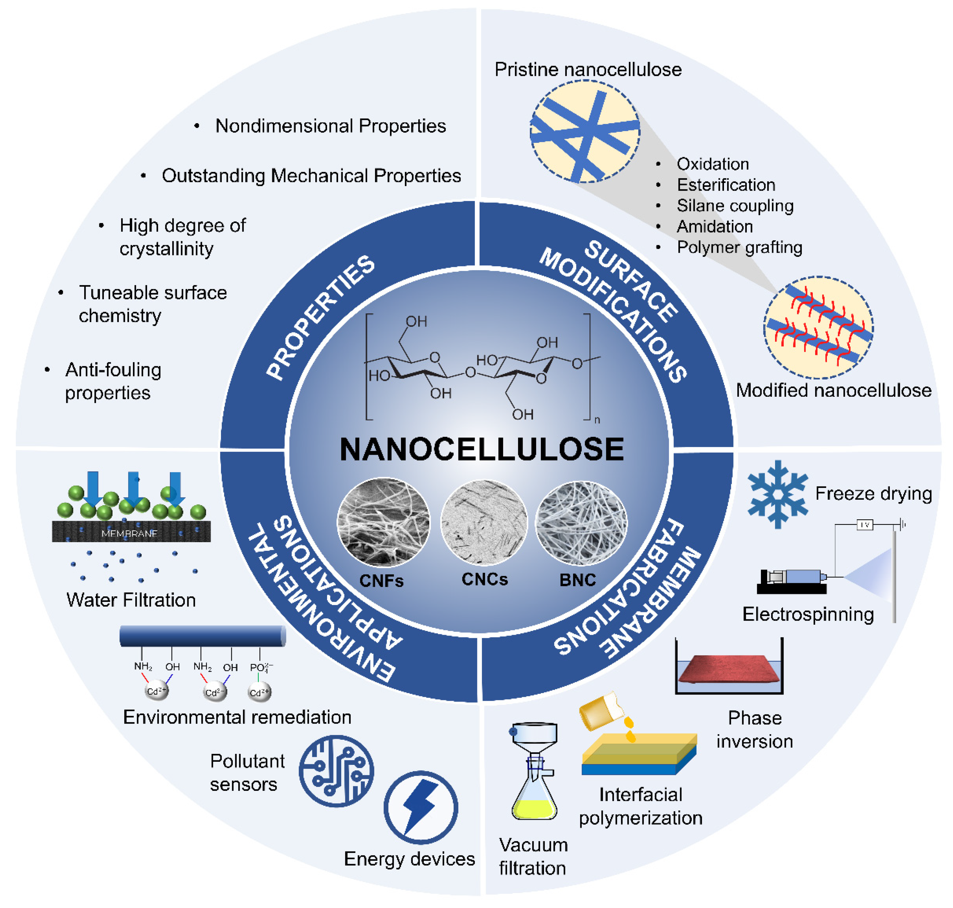 Membranes 12 00287 g002