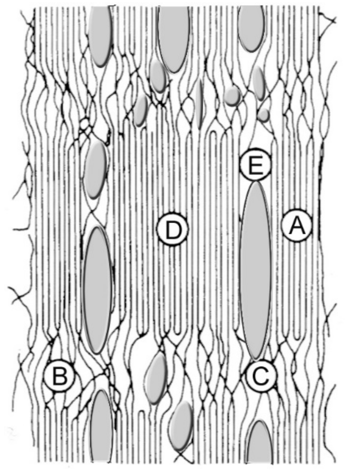 Membranes 12 00297 g005 Membranes 12 00297 g005
