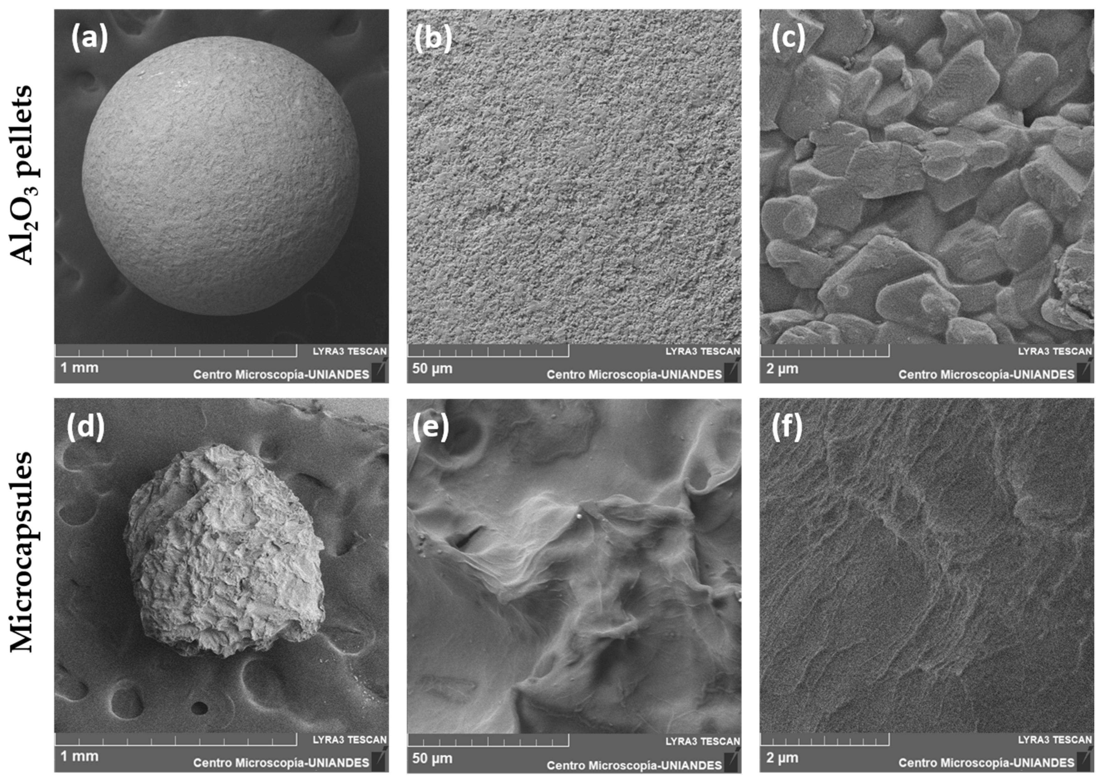 Membranes 12 00298 g005