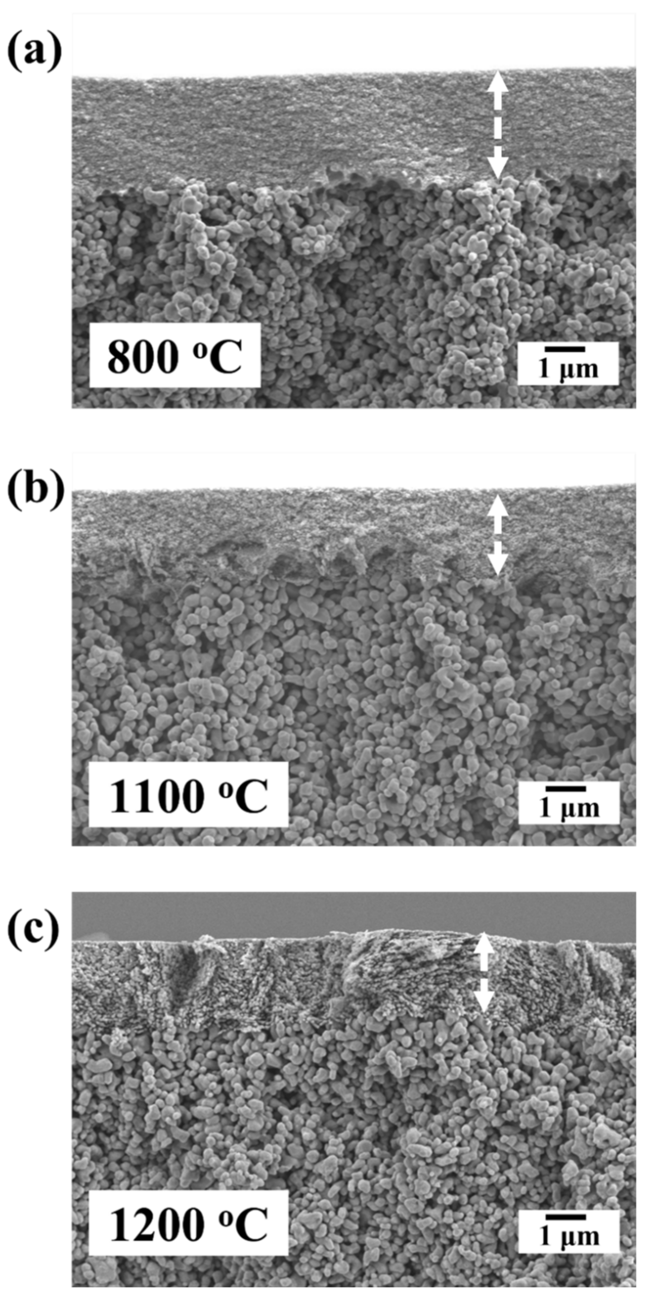 Membranes 12 00313 g006