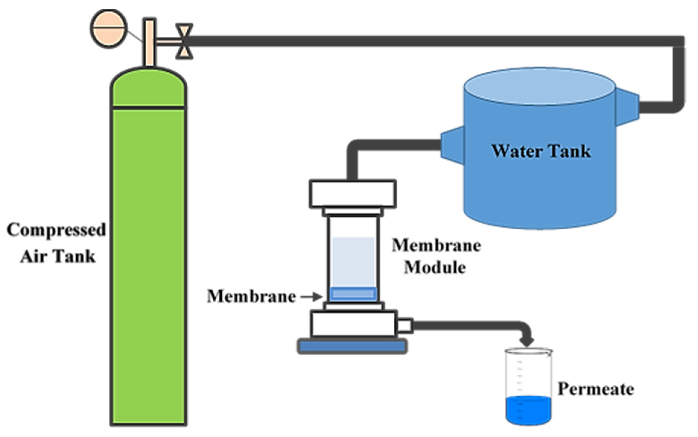 Membranes 12 00315 g004