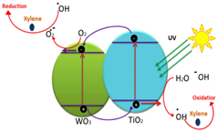 Membranes 12 00345 i002