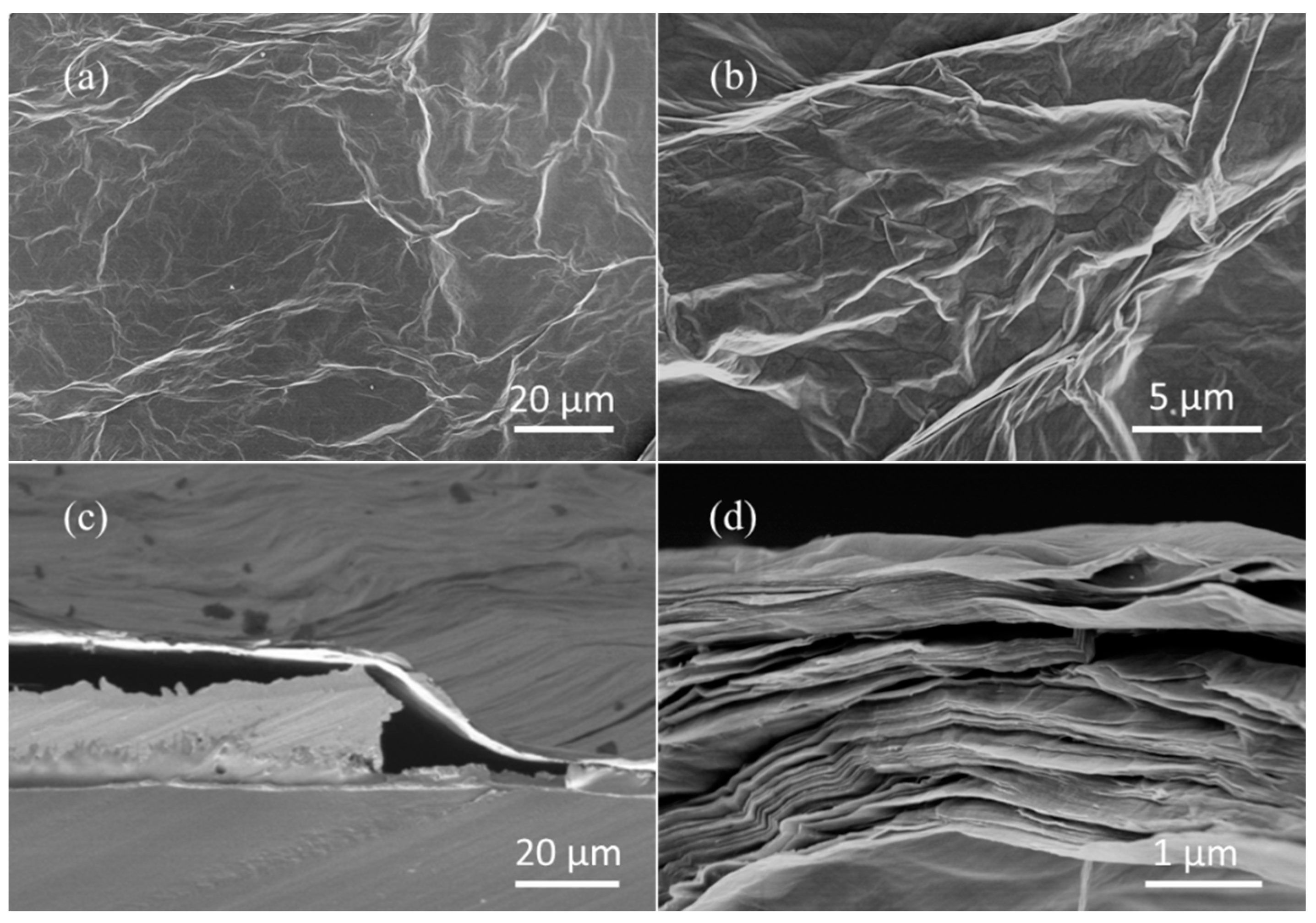 Membranes 12 00358 g002