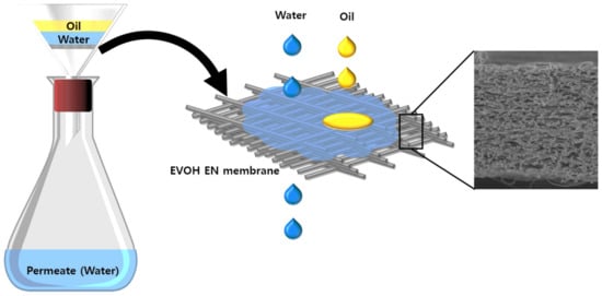 Membranes | Free Full-Text | Poly(ethylene-co-vinyl alcohol ...