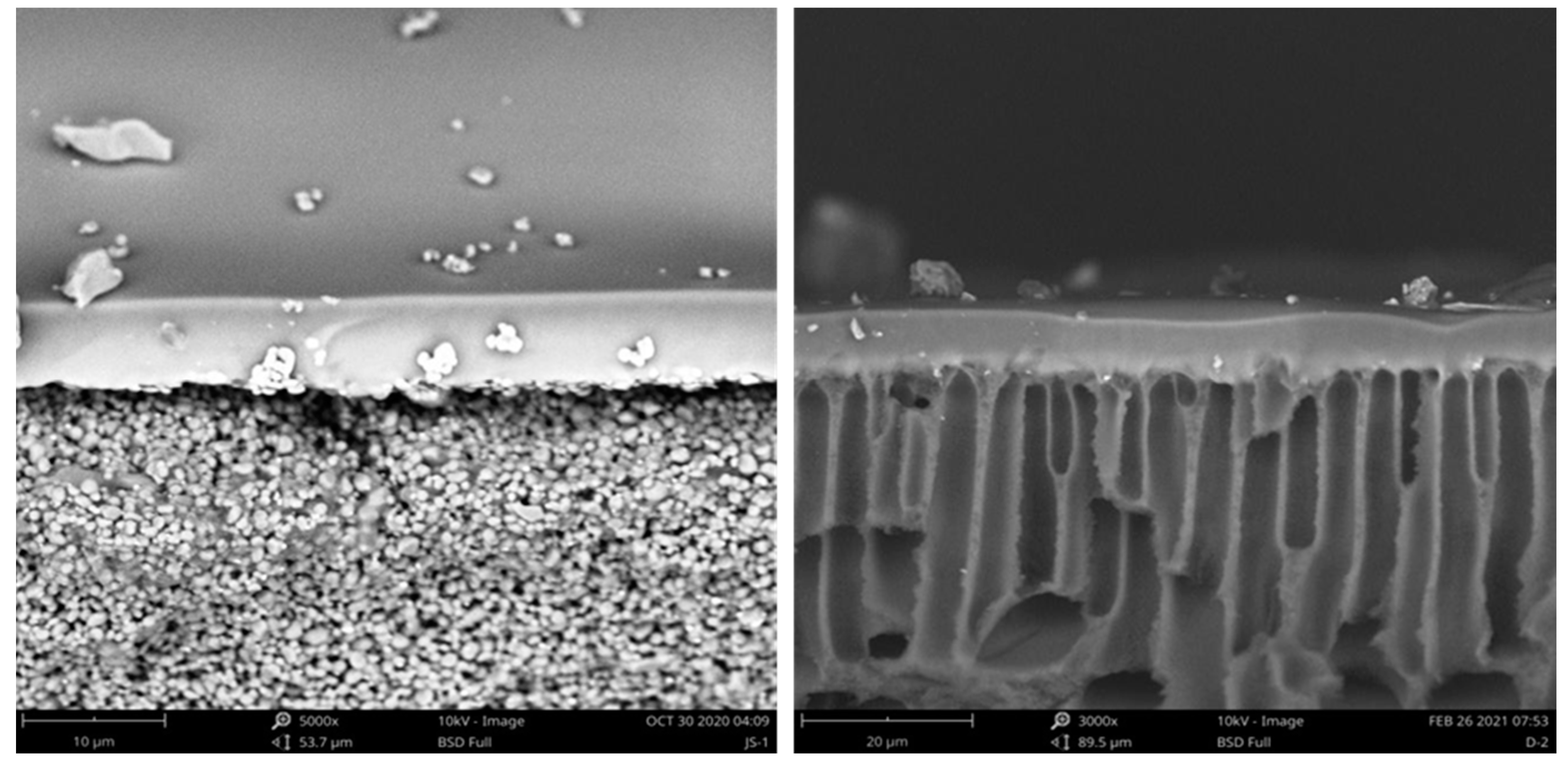 Membranes 12 00404 g001