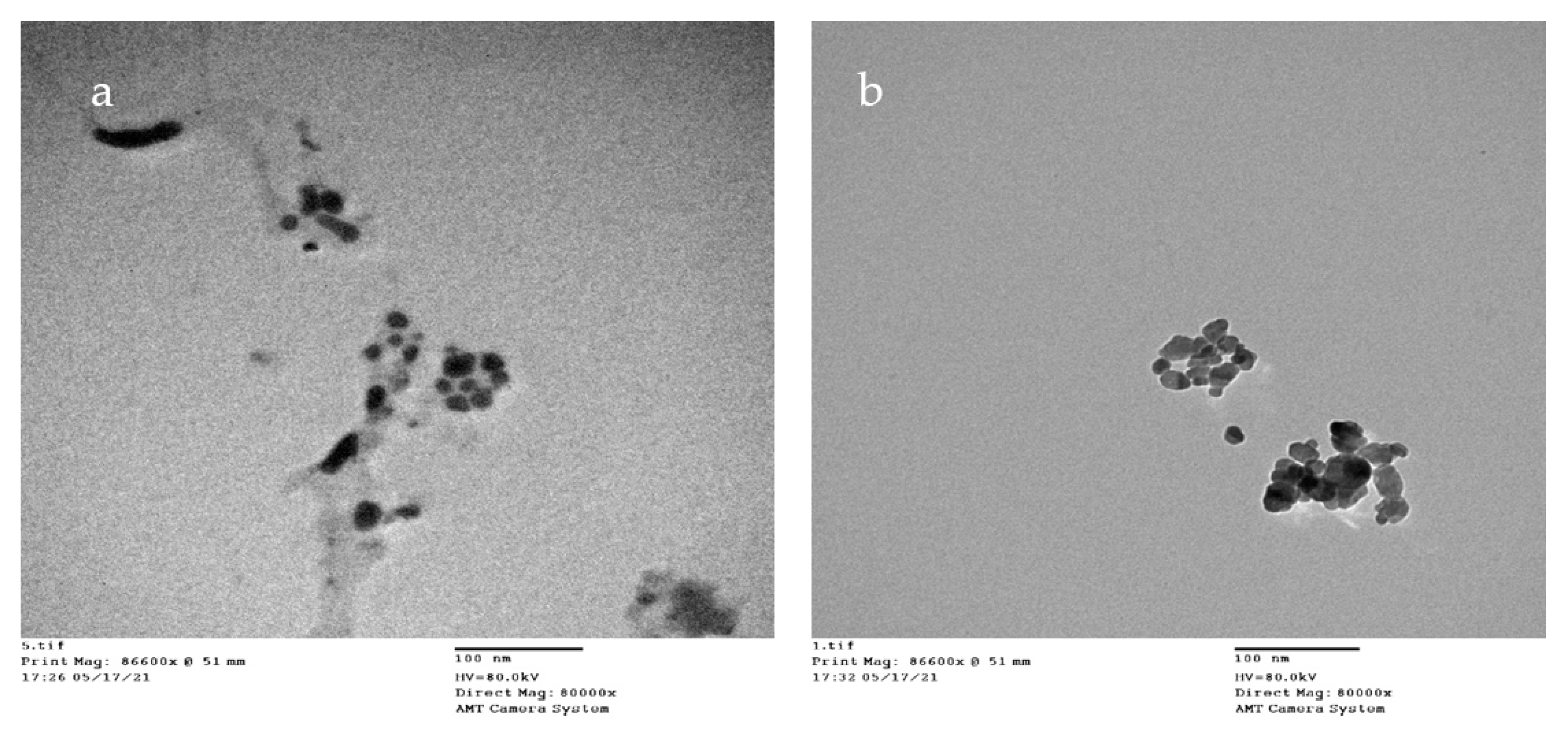 Membranes 12 00408 g004