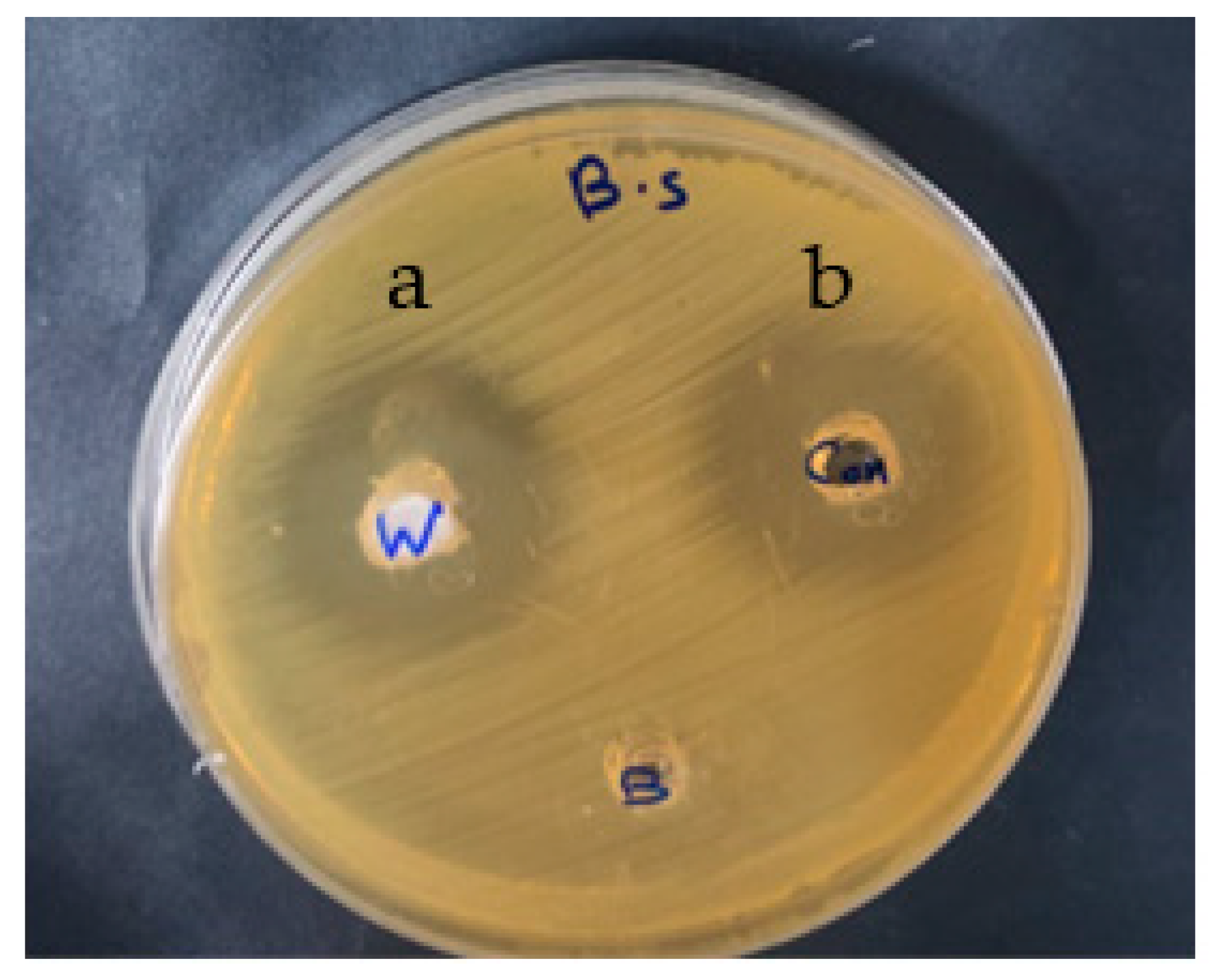 Membranes 12 00408 g005