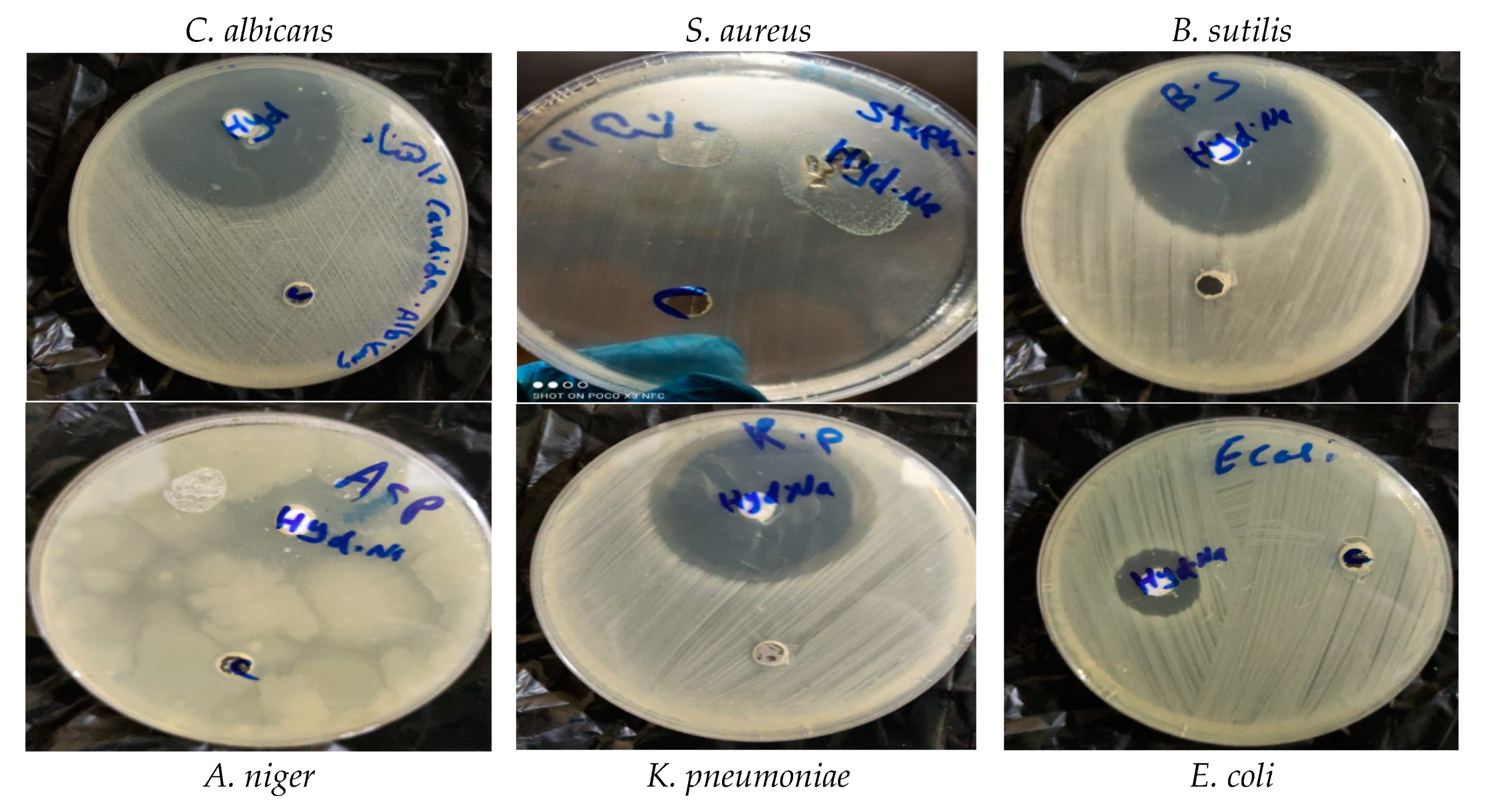 Membranes 12 00408 g006