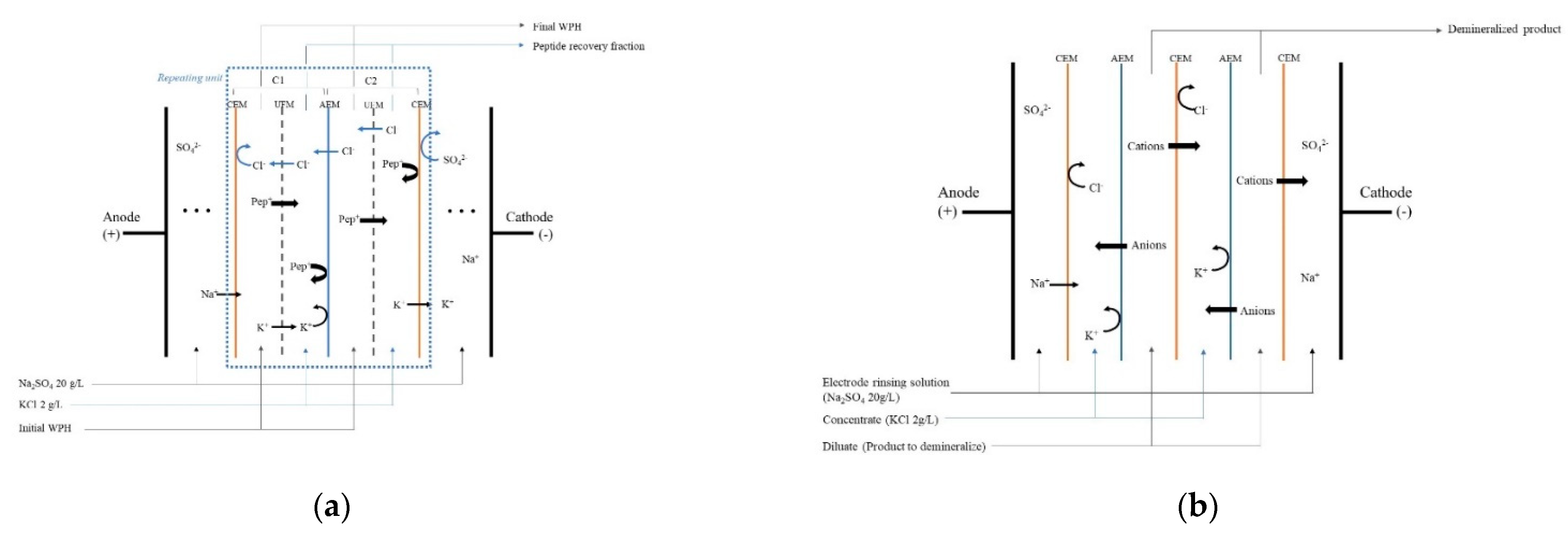 Membranes 12 00409 g001