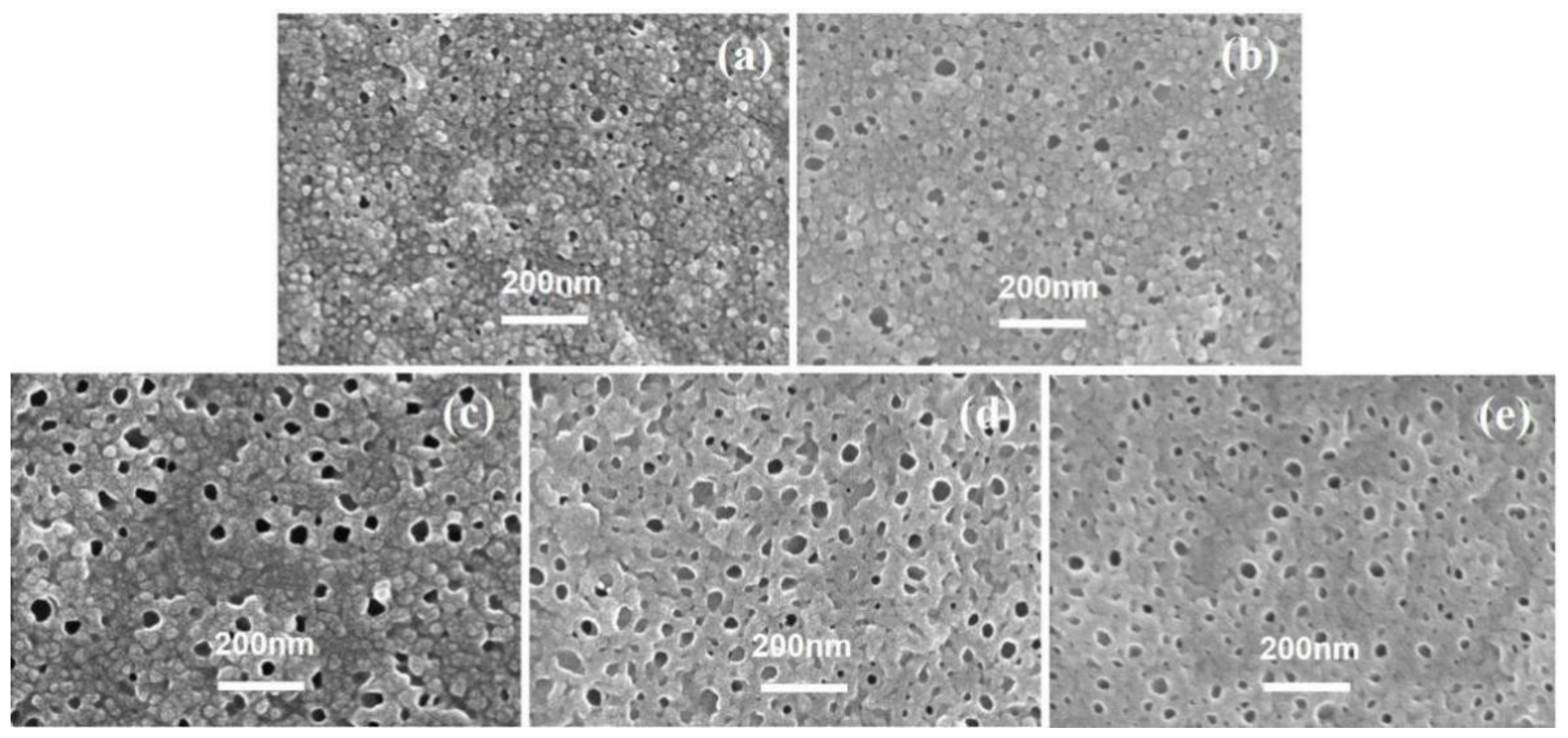 Membranes 12 00417 g008