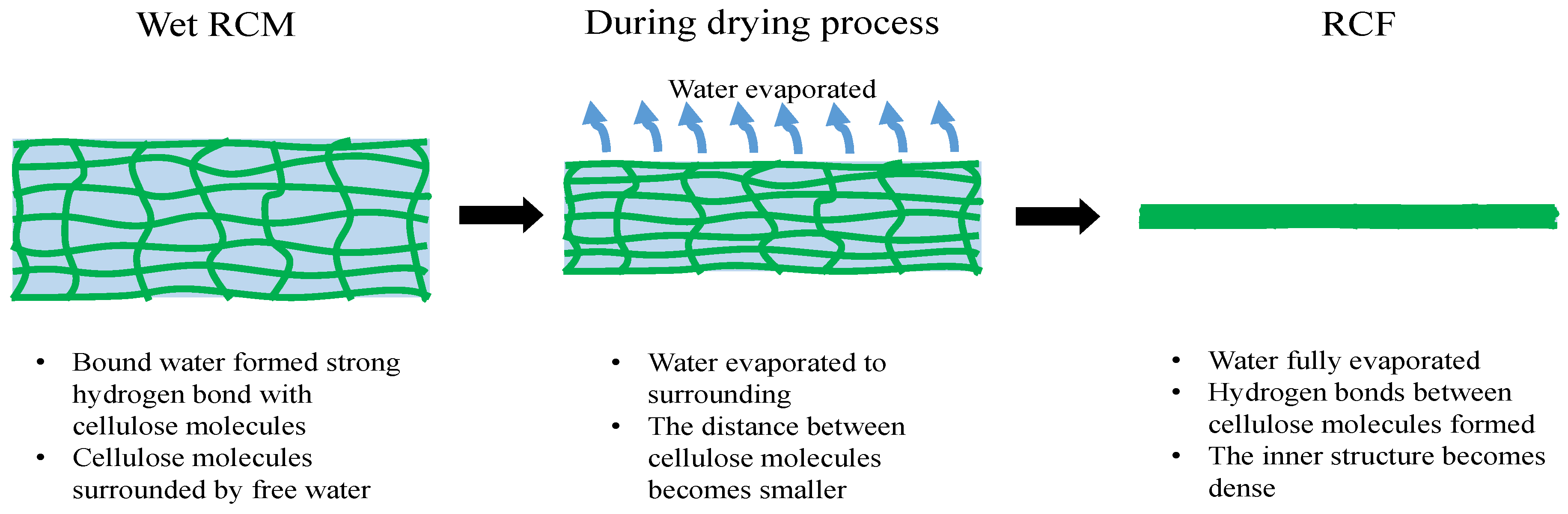 Membranes 12 00445 g005