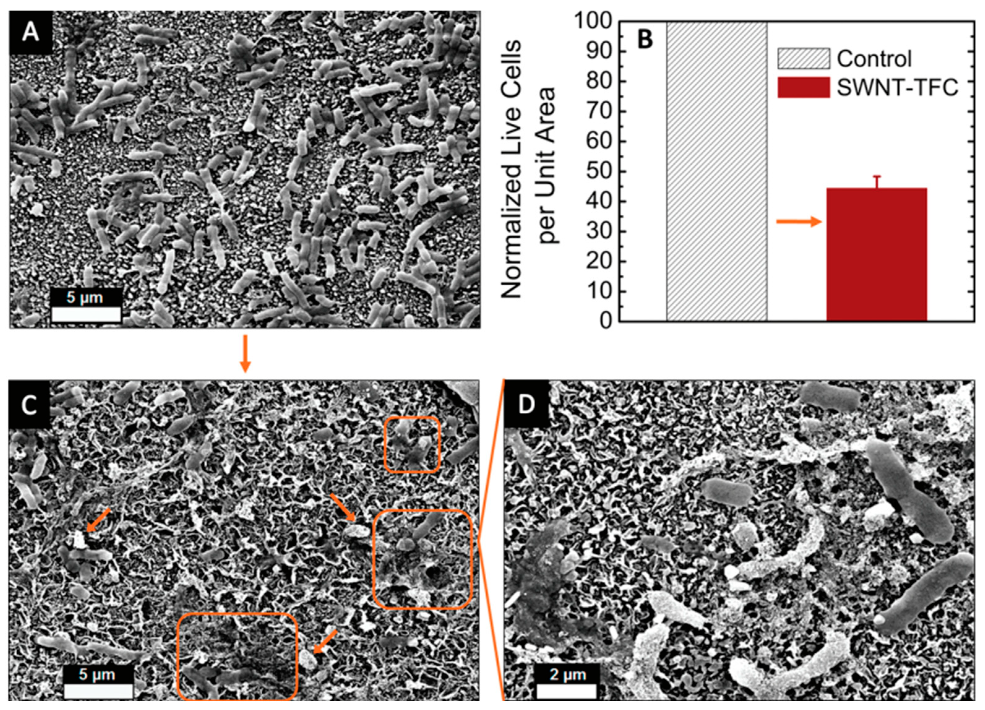 Membranes 12 00454 g004