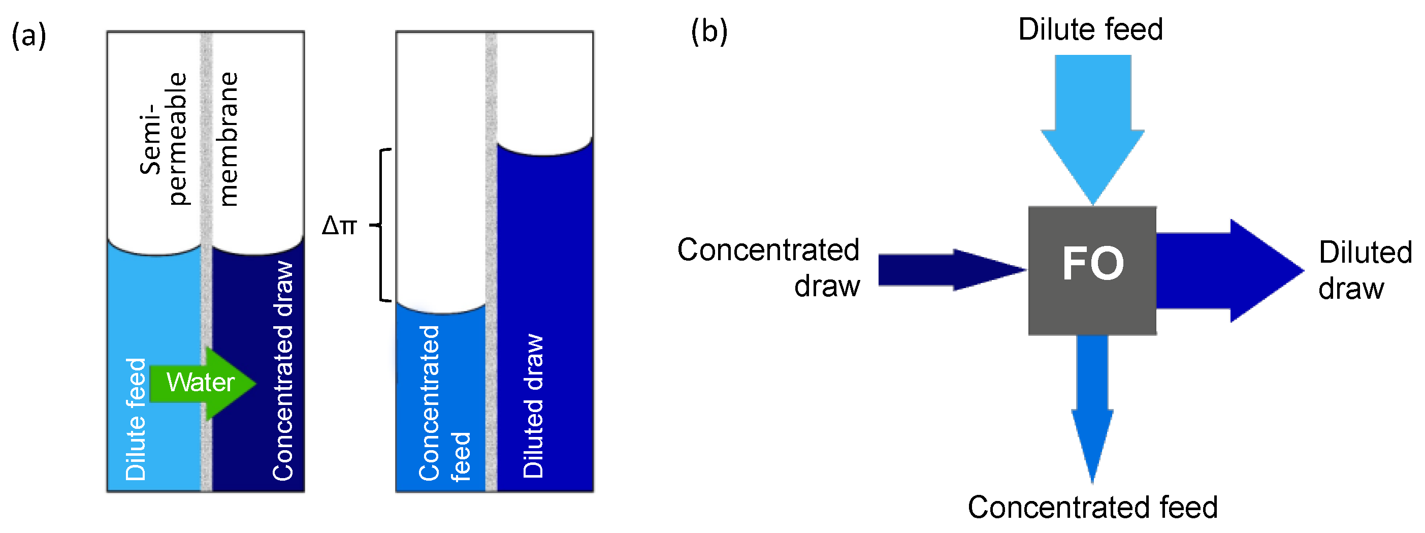 Membranes 12 00456 g001