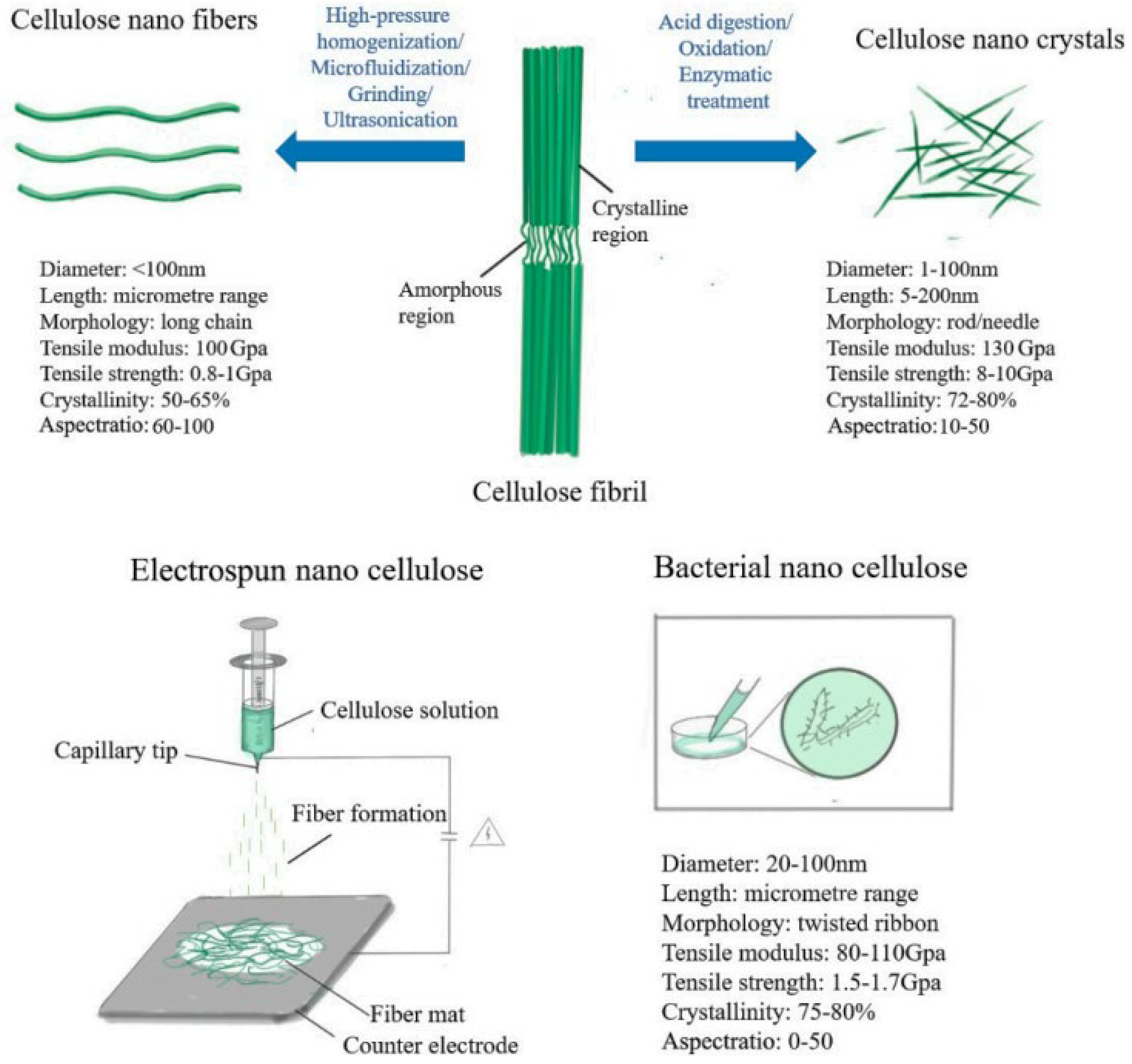Membranes 12 00462 g003