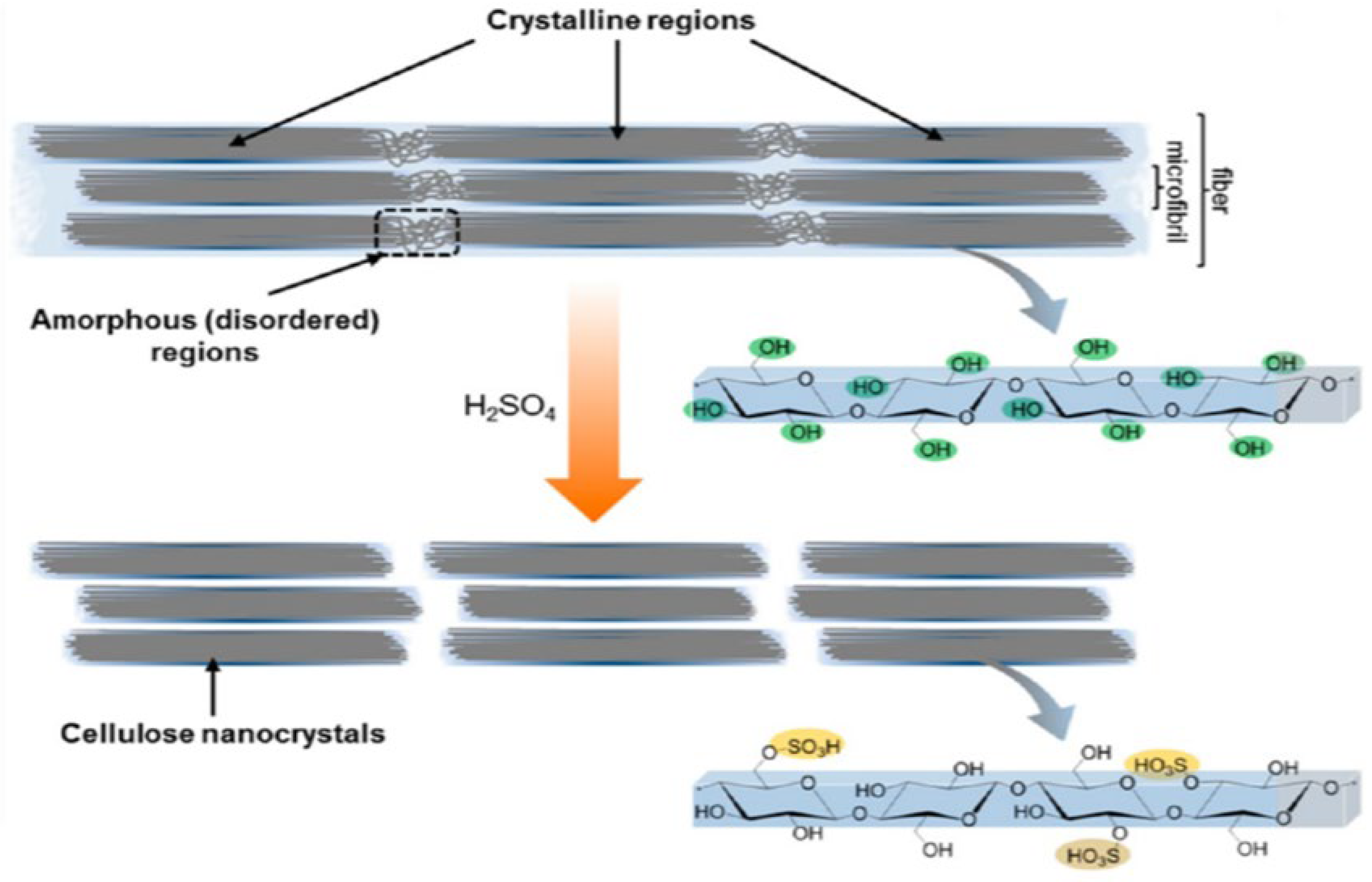 Membranes 12 00462 g004