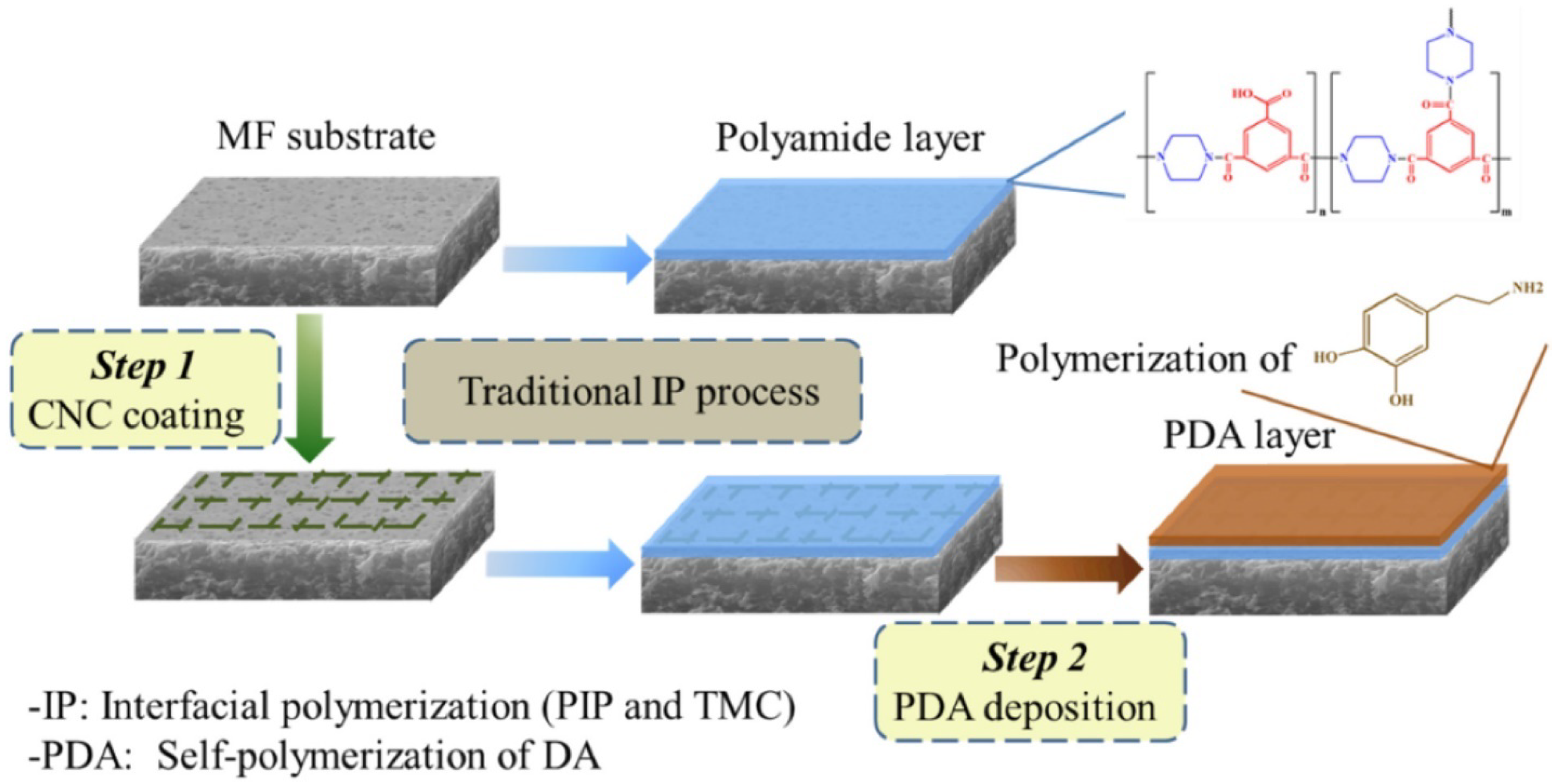 Membranes 12 00462 g005