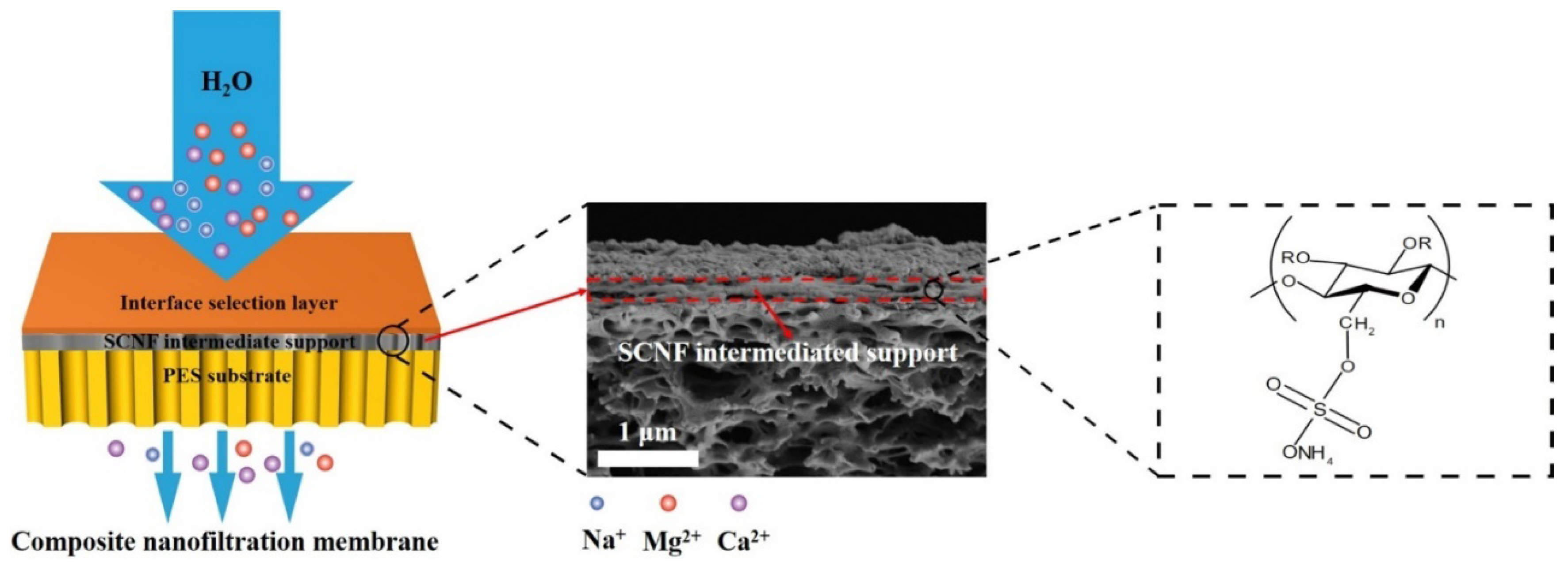 Membranes 12 00462 g008
