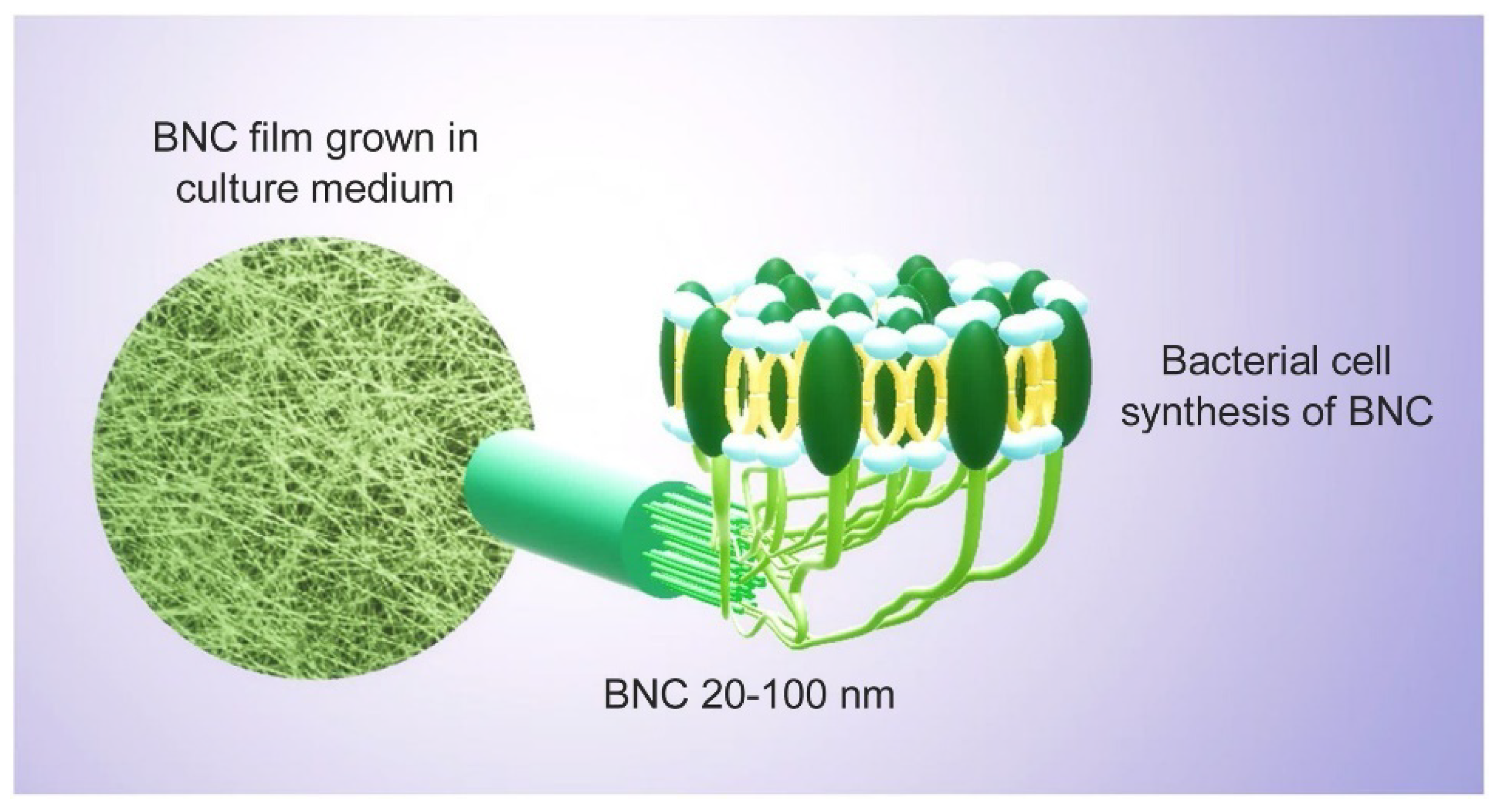 Membranes 12 00462 g009