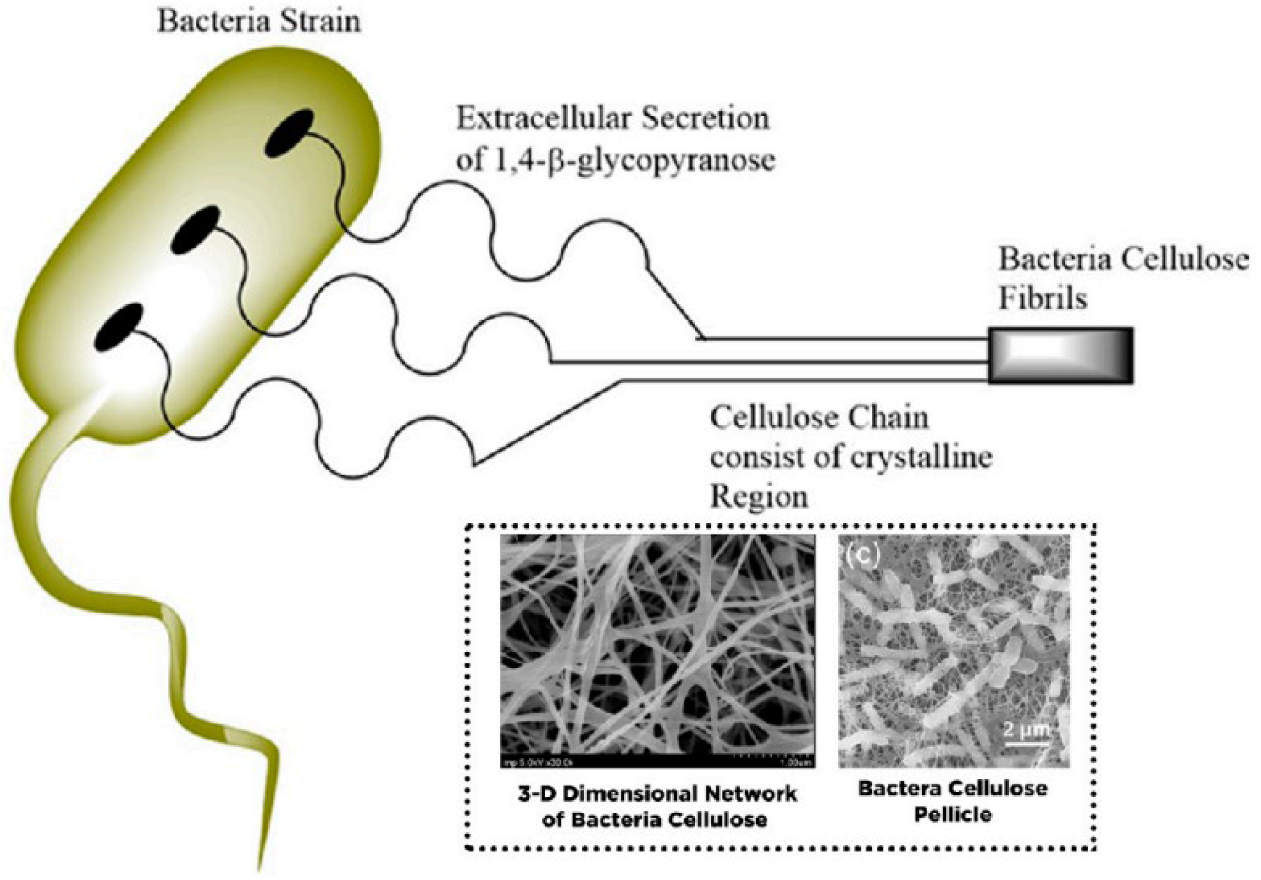 Membranes 12 00462 g010