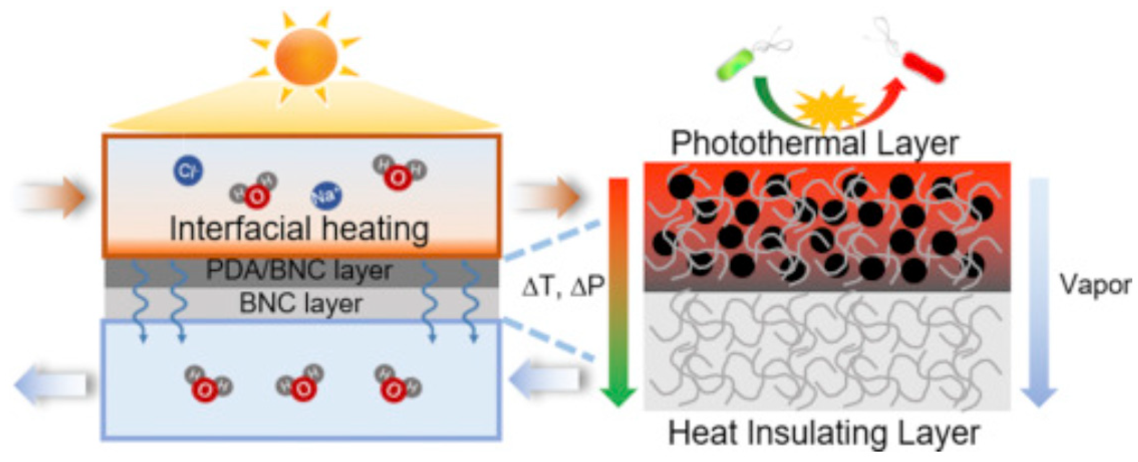 Membranes 12 00462 g012