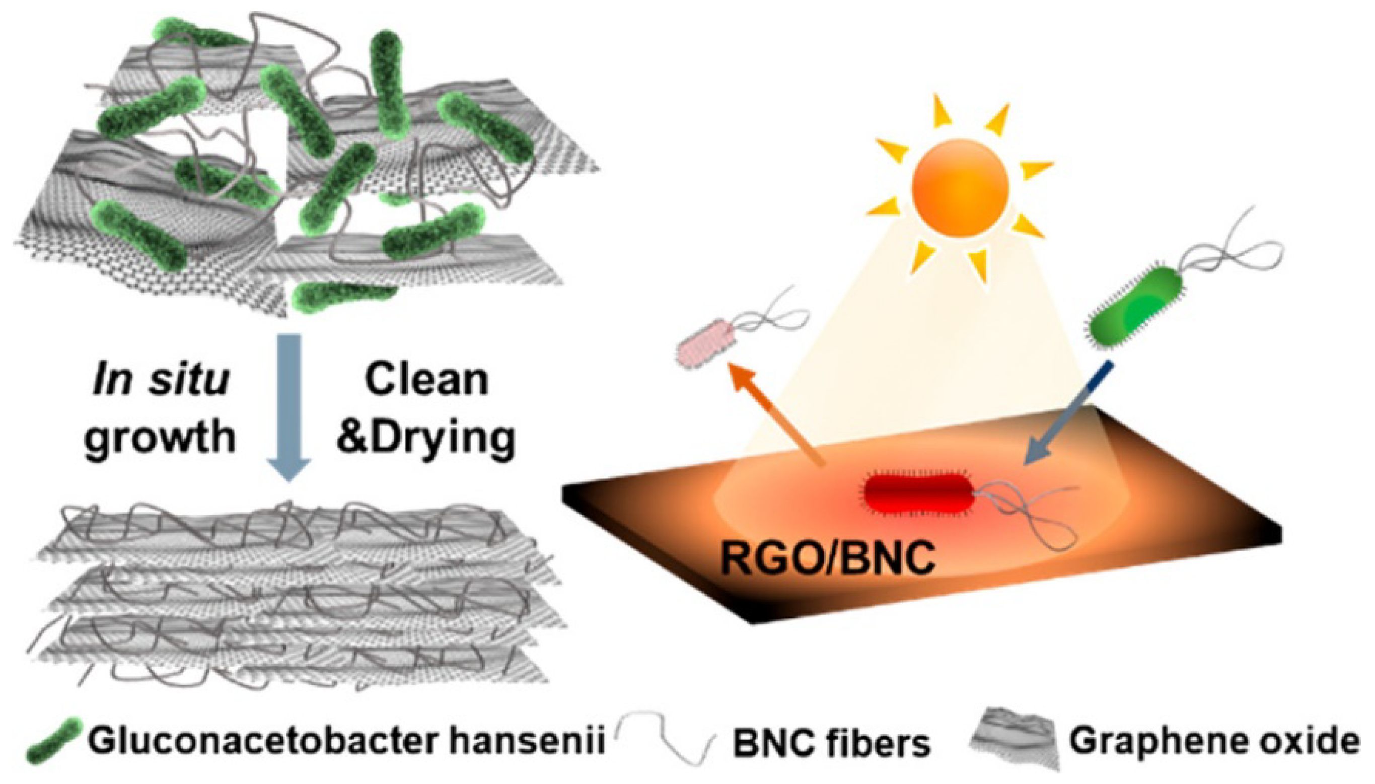 Membranes 12 00462 g013