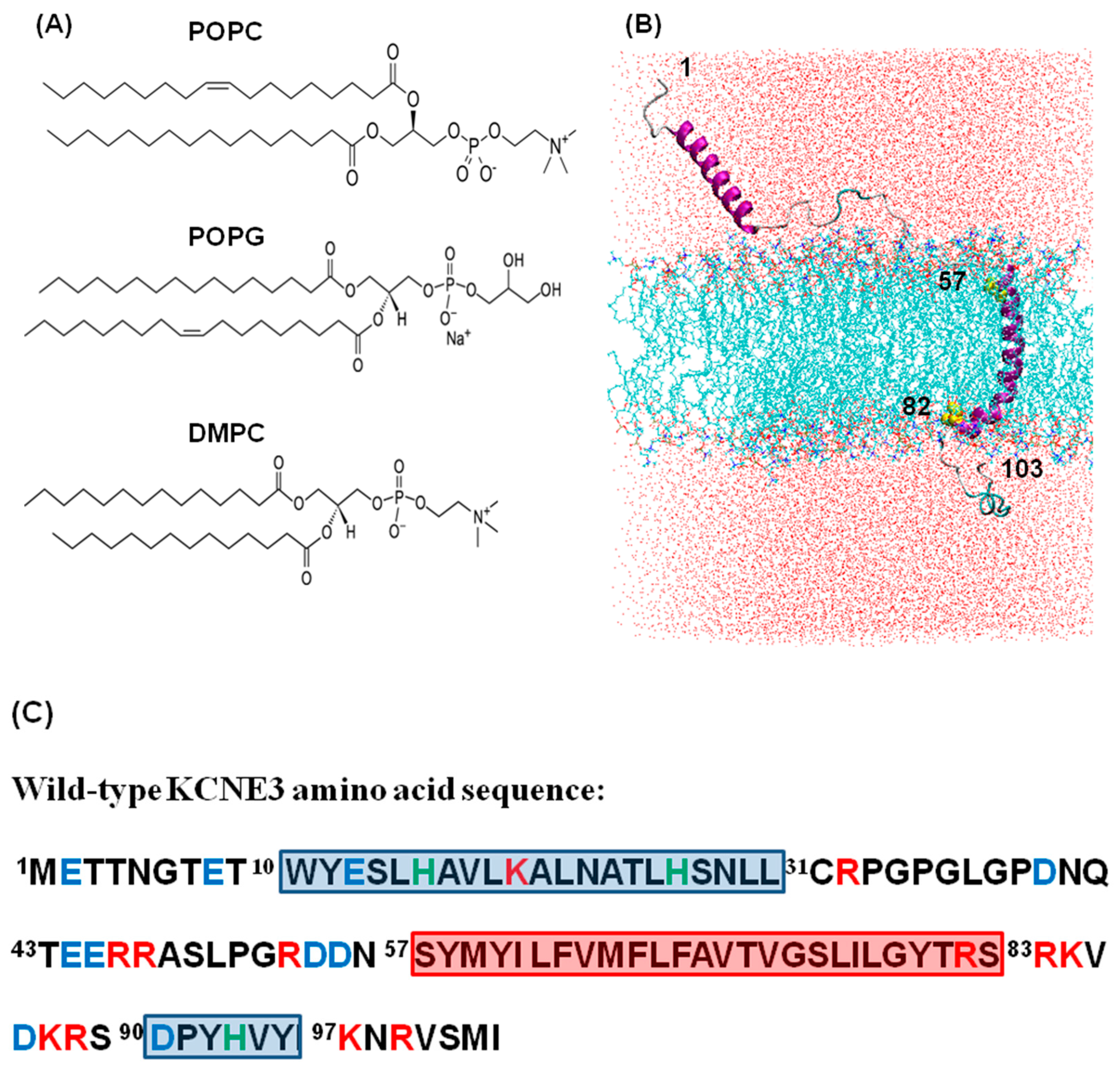 Membranes 12 00469 g001