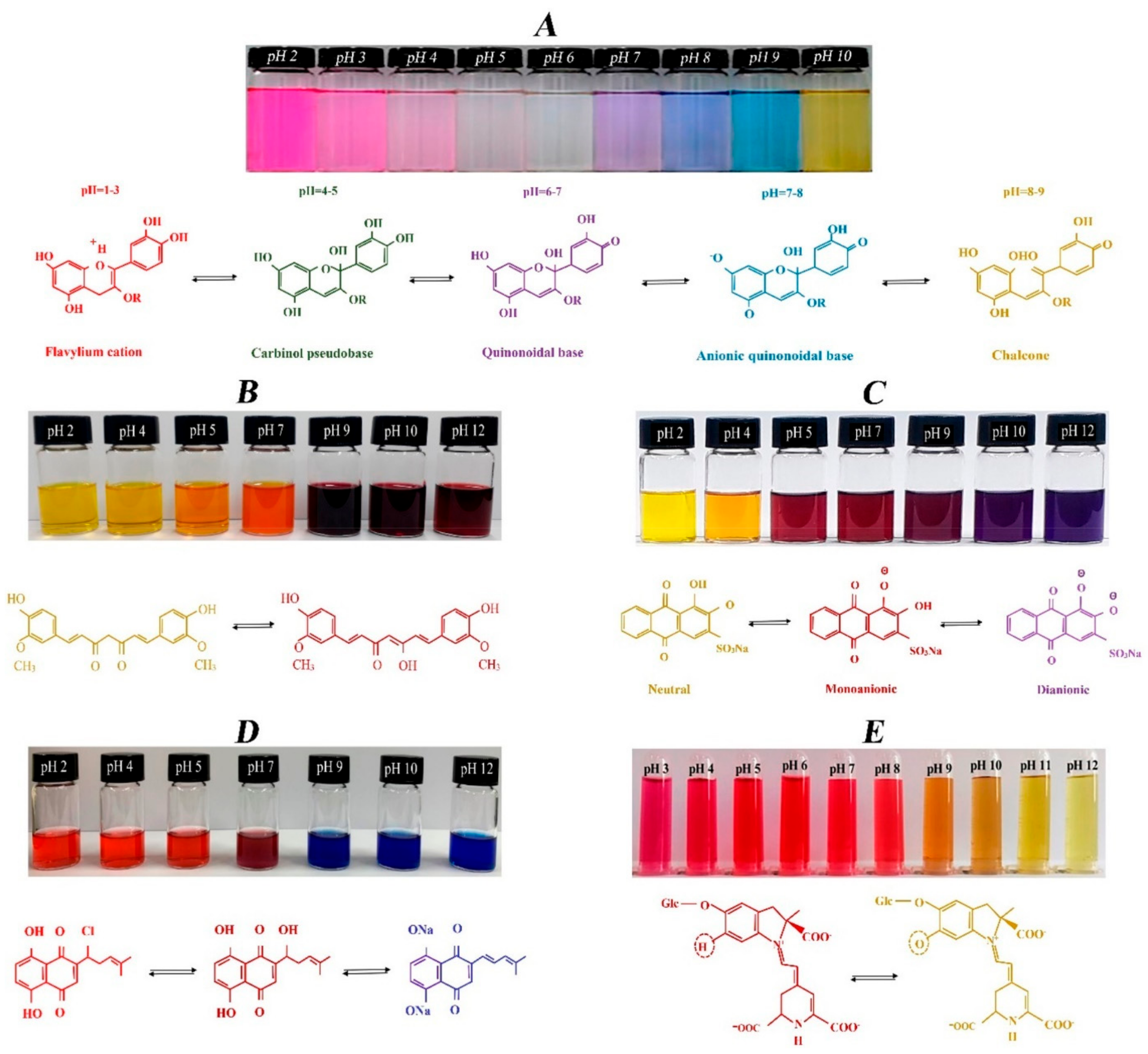 Membranes 12 00477 g005