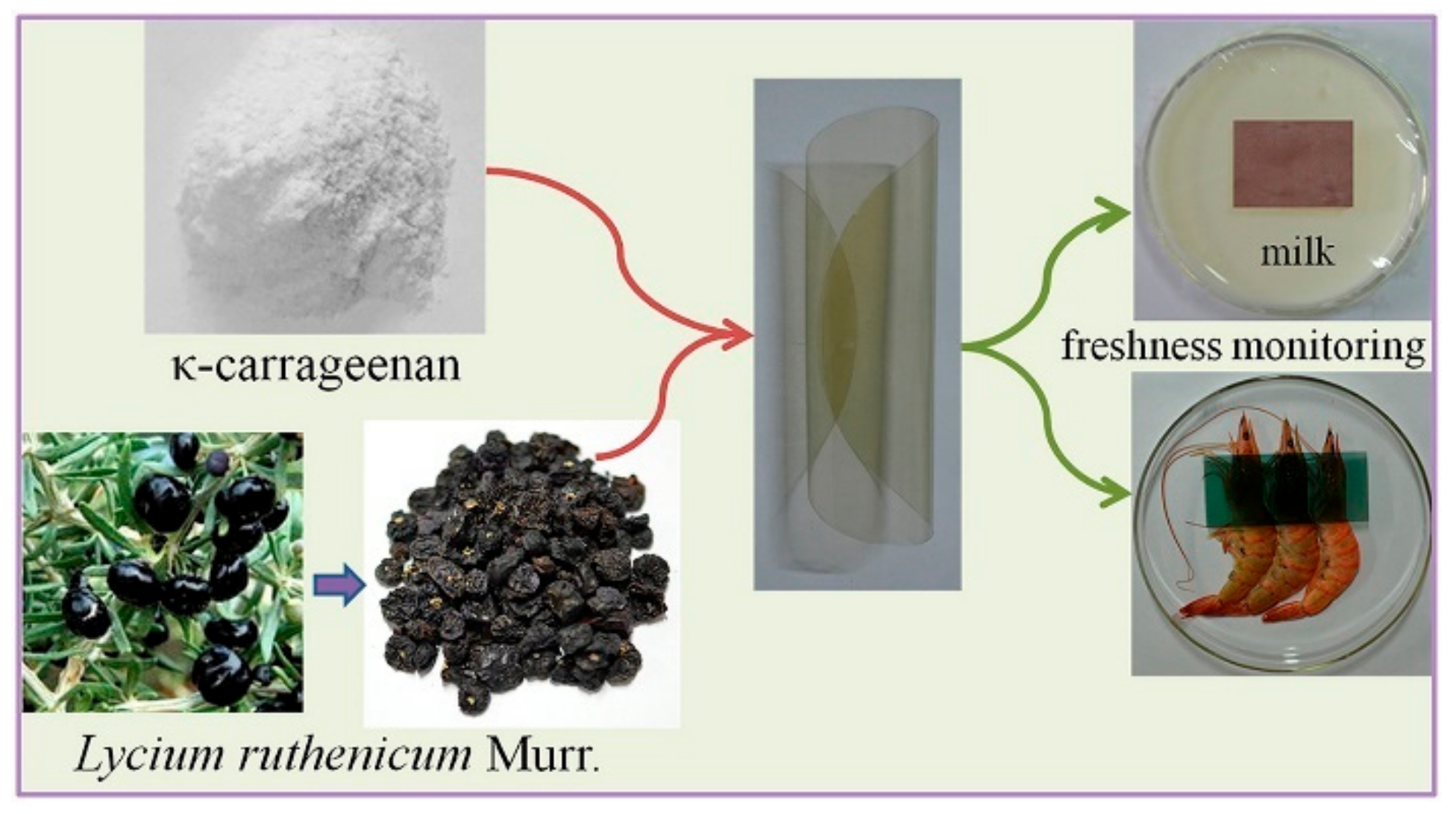 Membranes 12 00477 g006