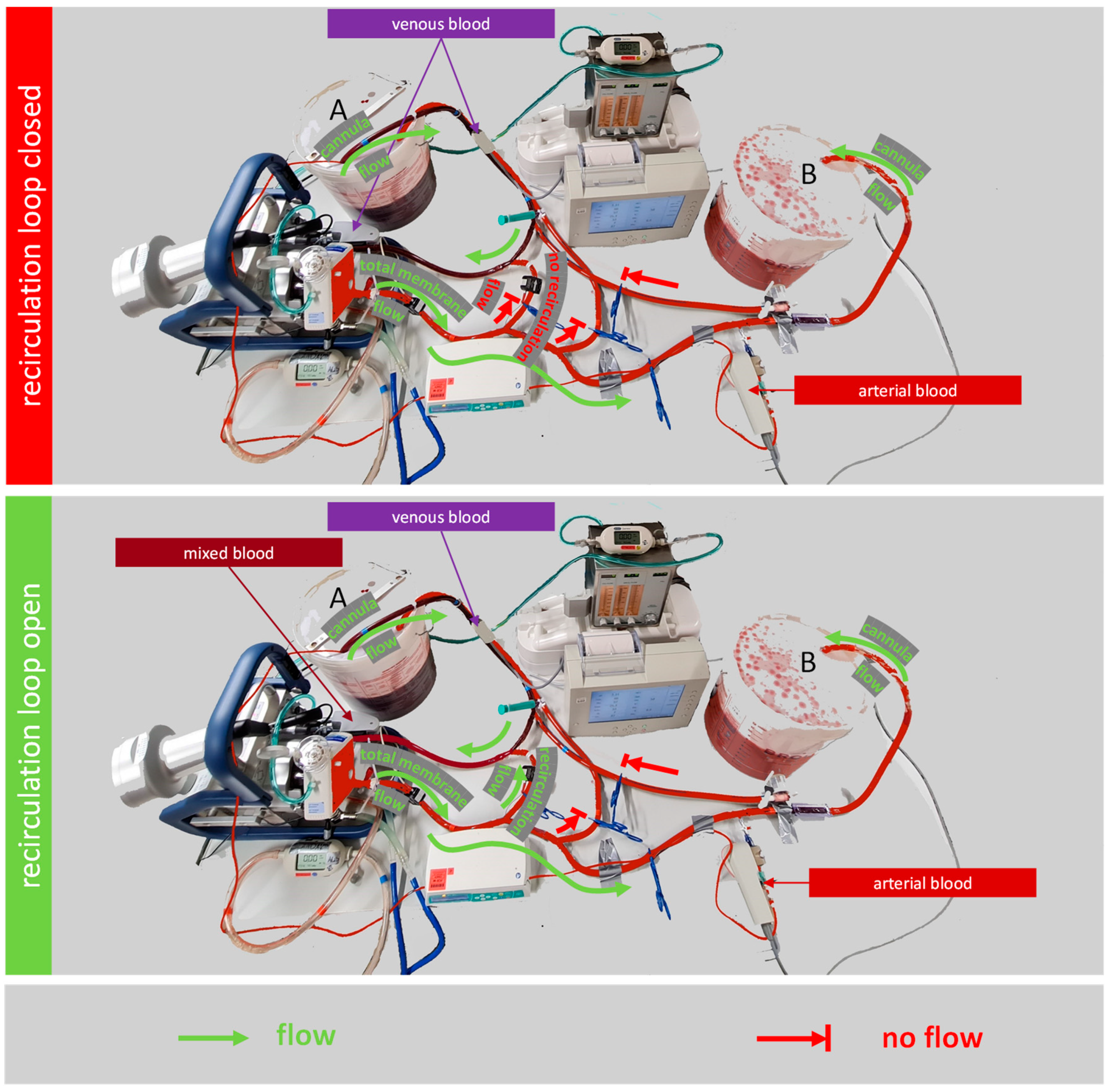 Membranes 12 00493 g003