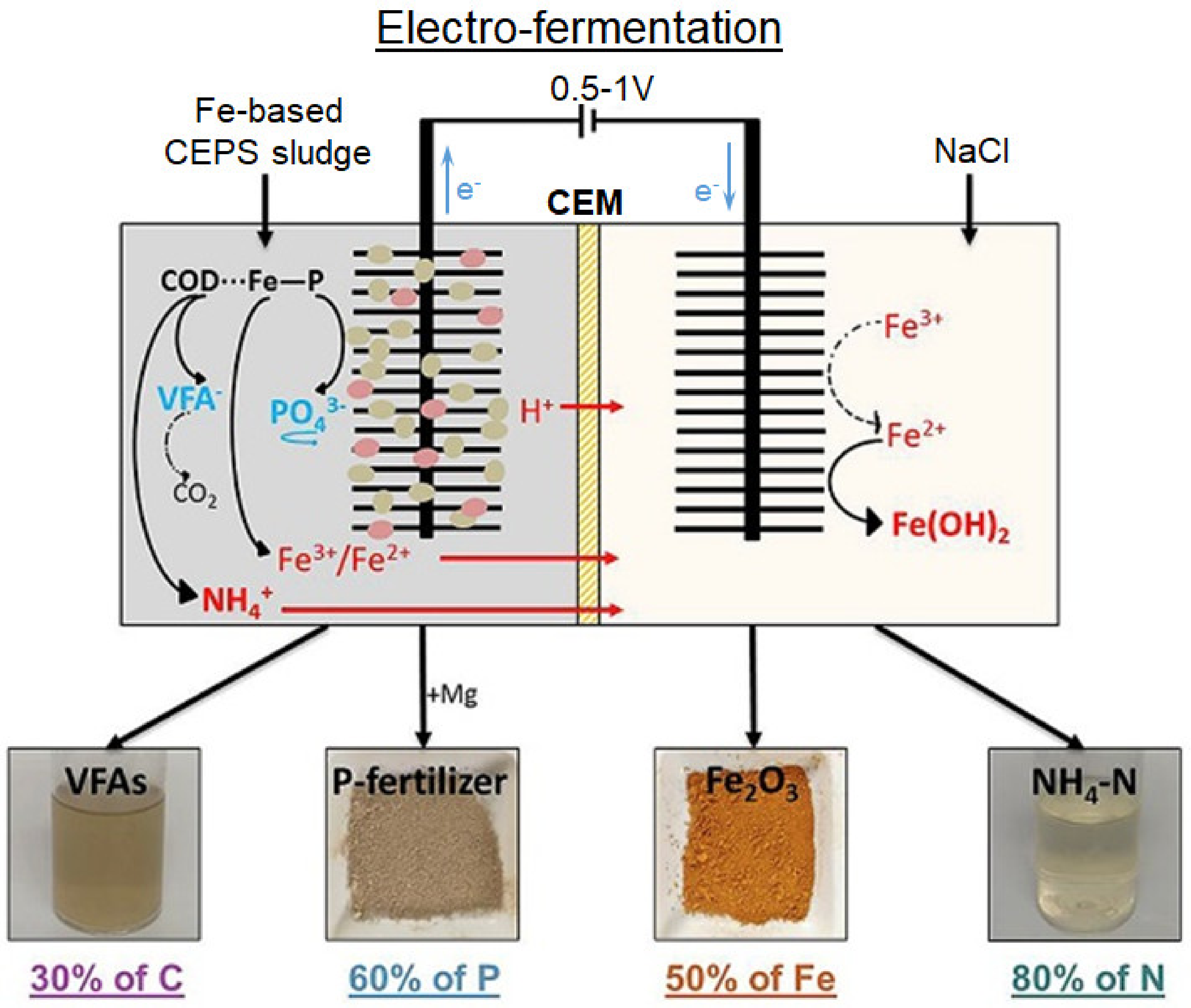Membranes 12 00497 g006