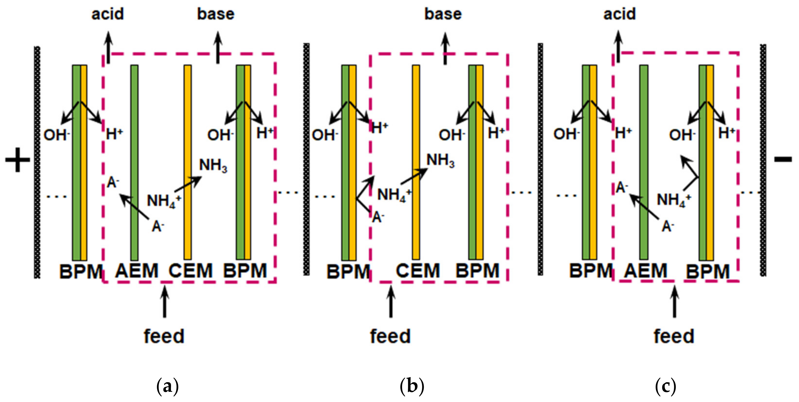 Membranes 12 00497 g011