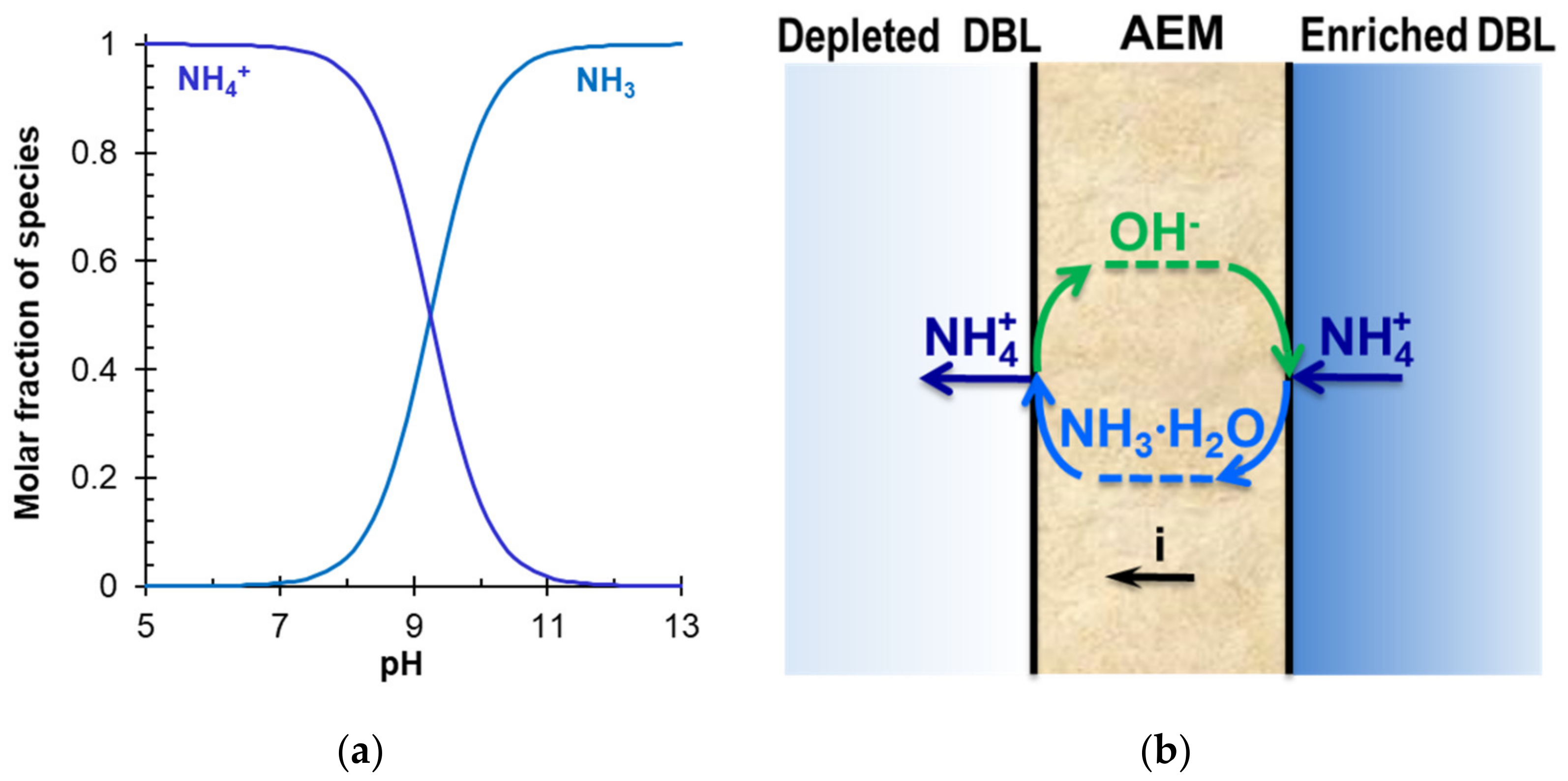 Membranes 12 00497 g022