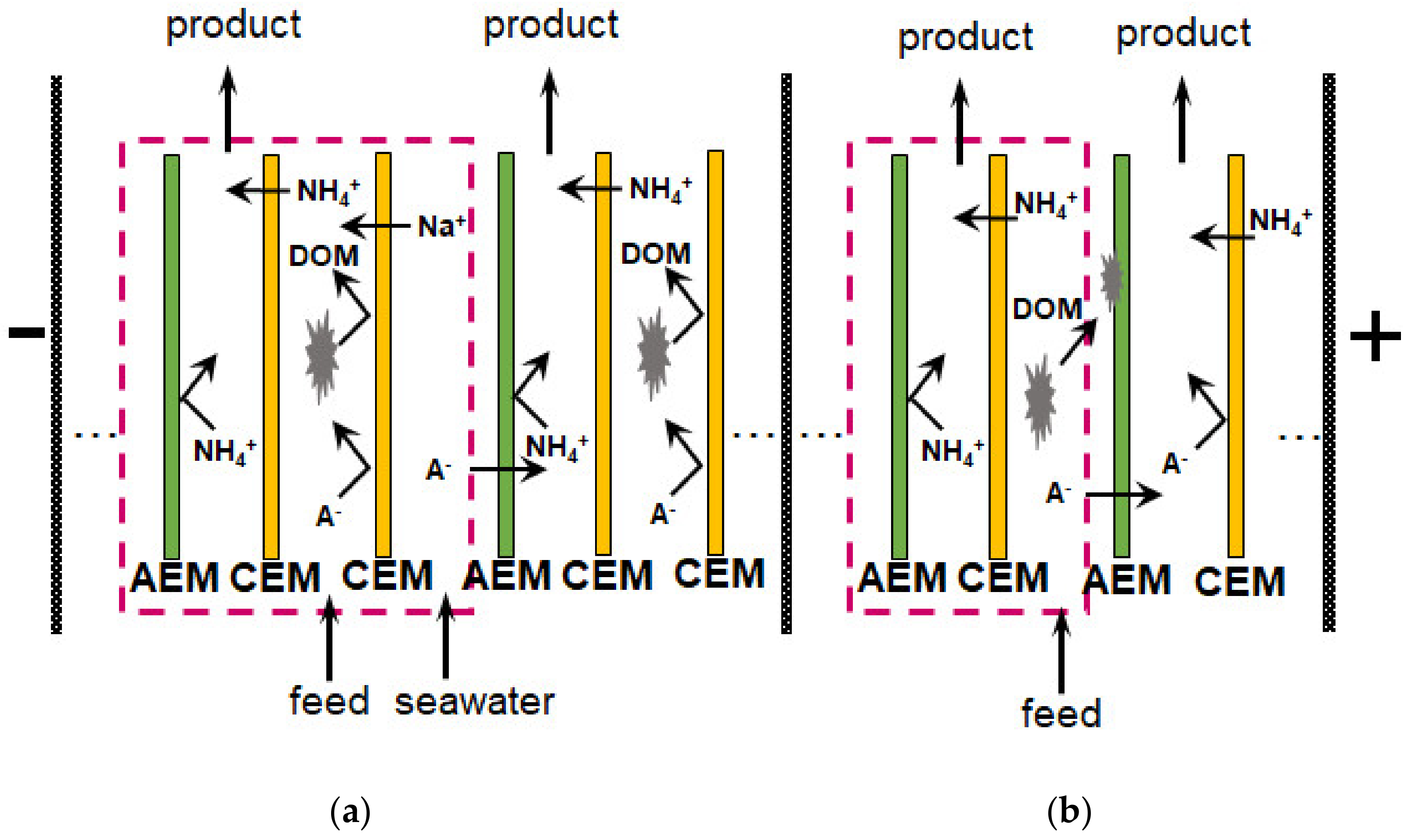Membranes 12 00497 g026