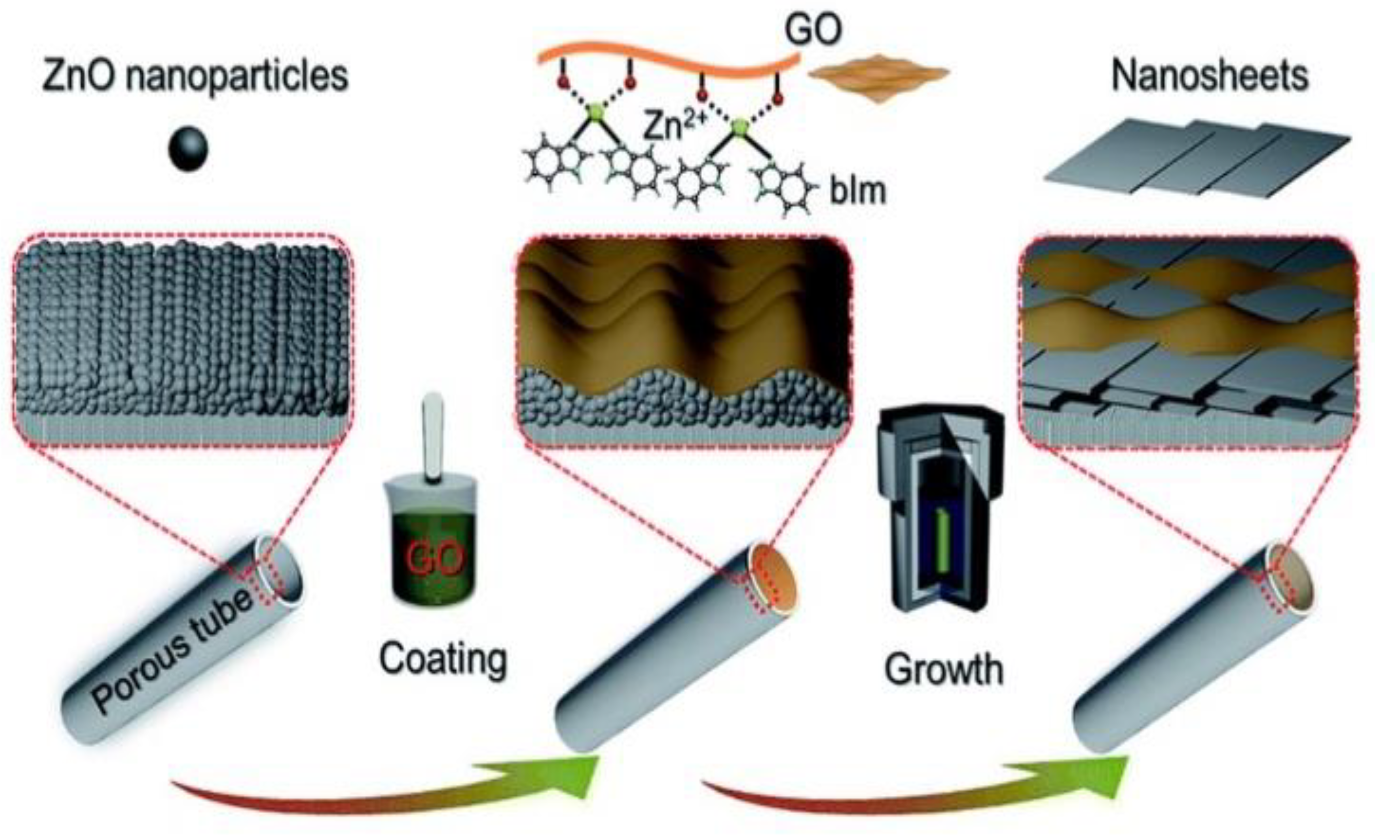 Membranes 12 00501 g005
