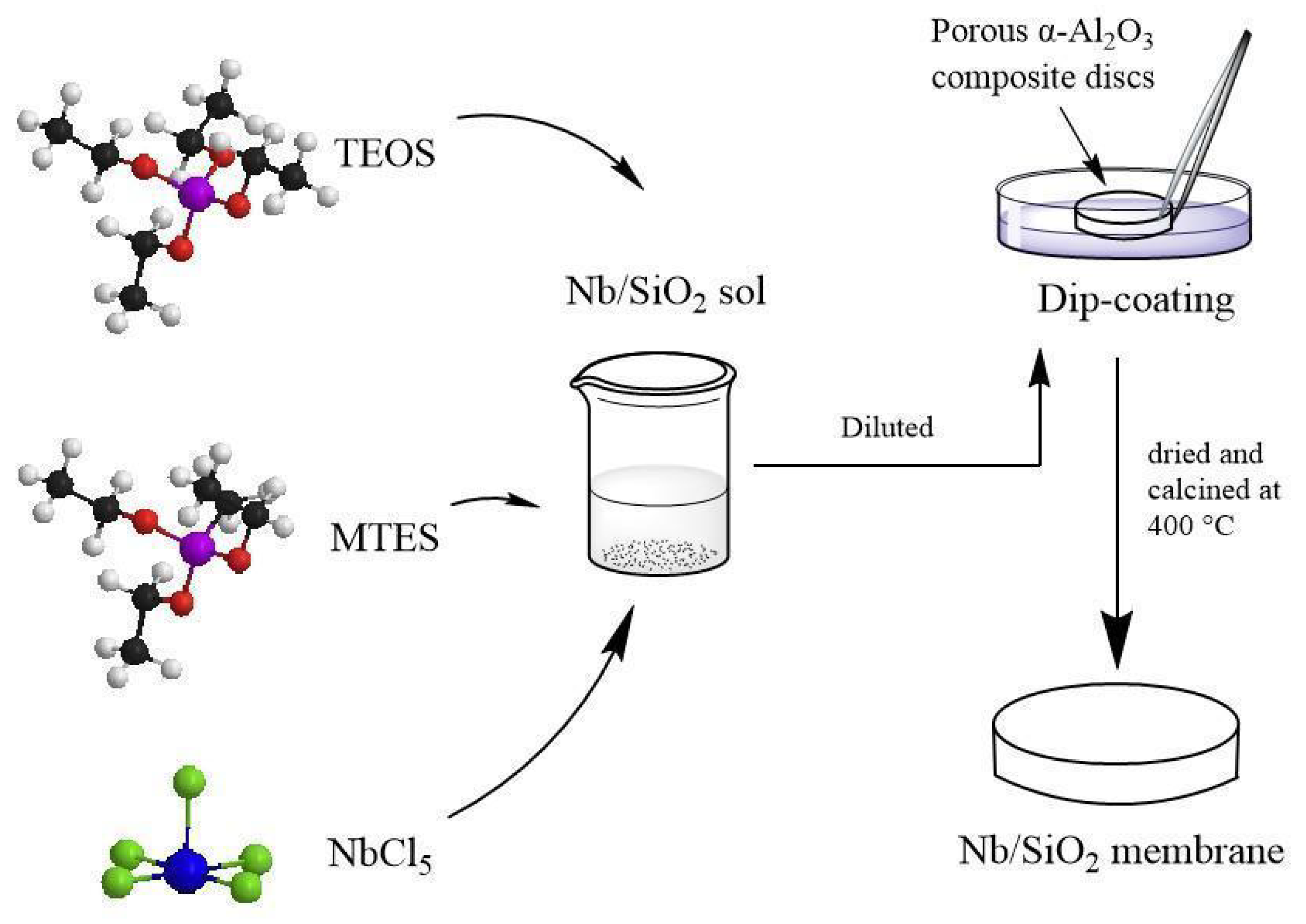 Membranes 12 00527 g001